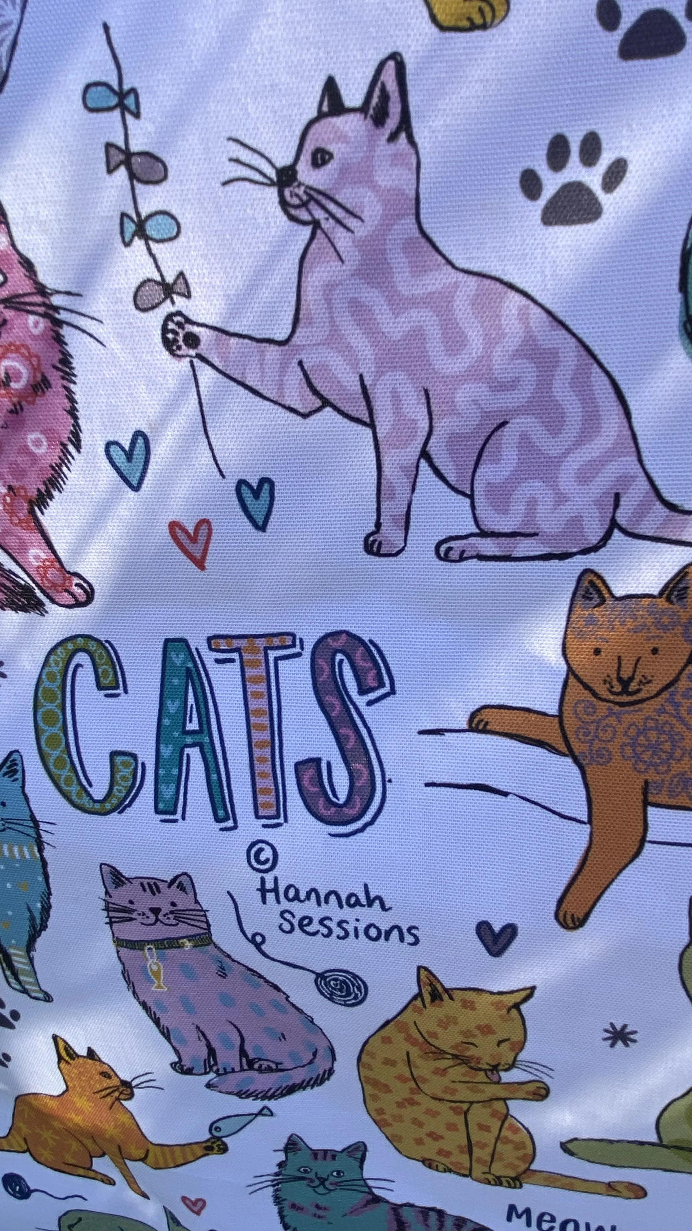 cats tt detail.jpg