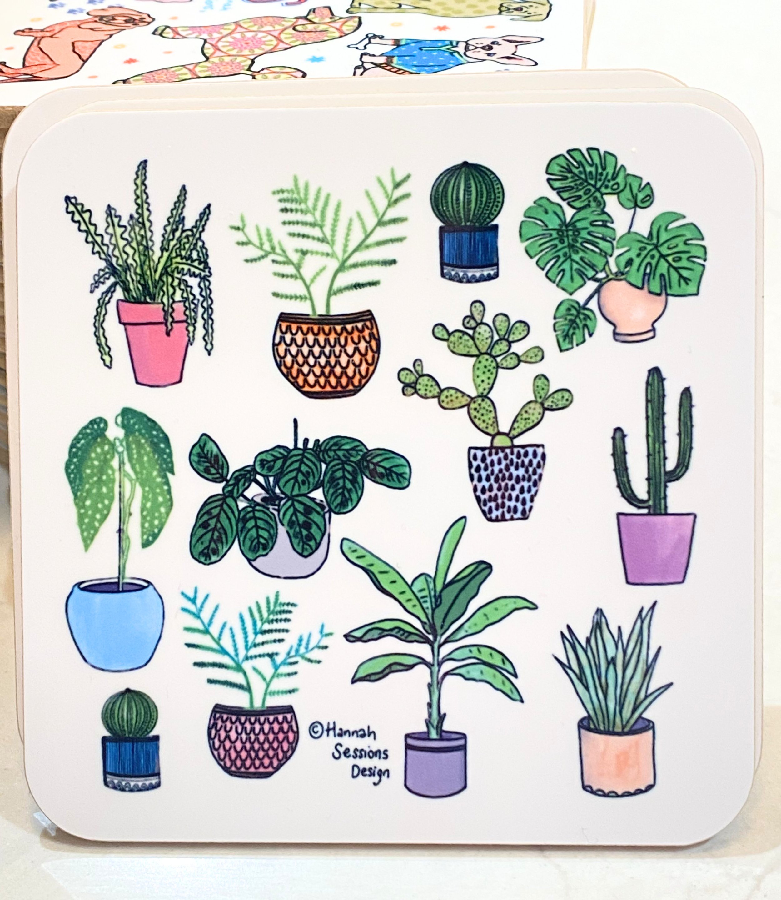 COASTER HOUSEPLANTS .jpg
