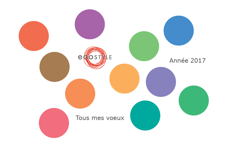 Voeux egostyle 2017