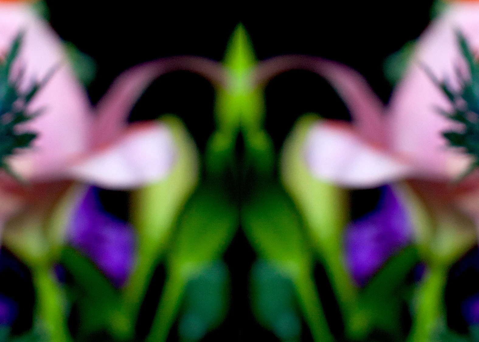 Untitled-8.jpg