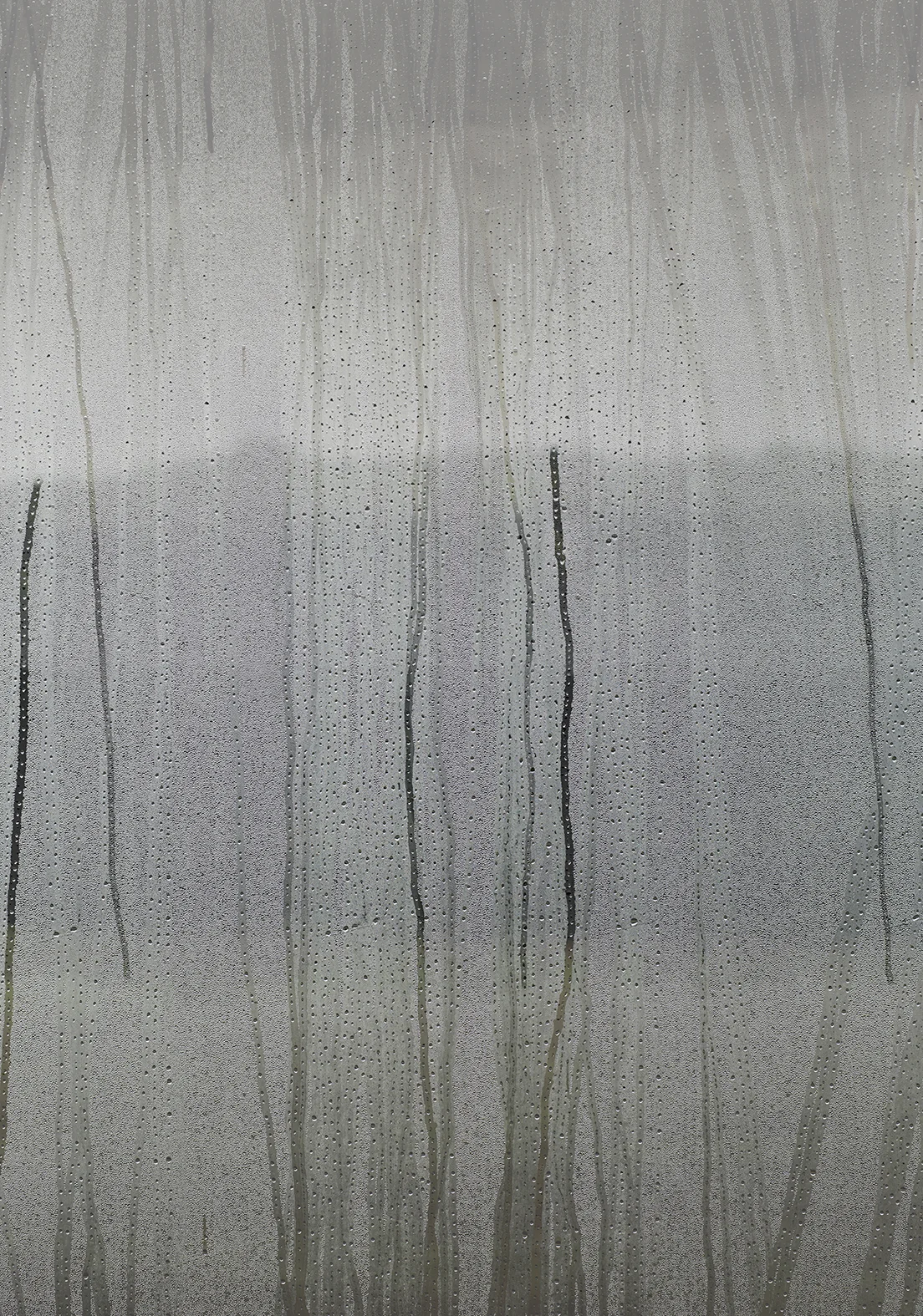 7Q3A5678.jpg
