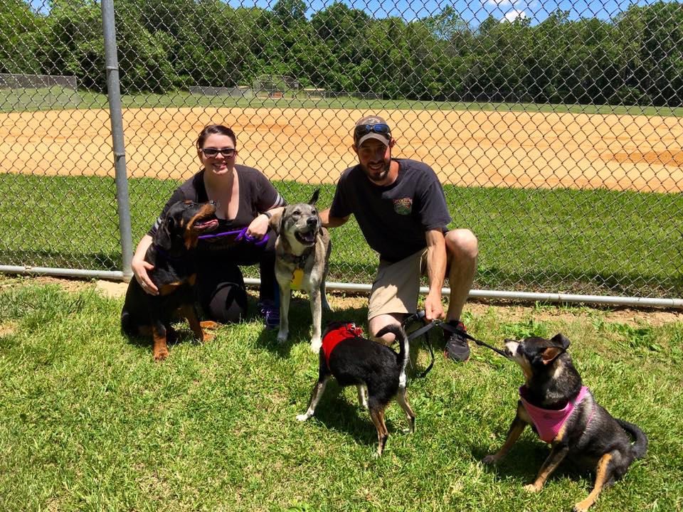 Tiger Lily was adopted by Jessica and Christopher with her furry siblings!