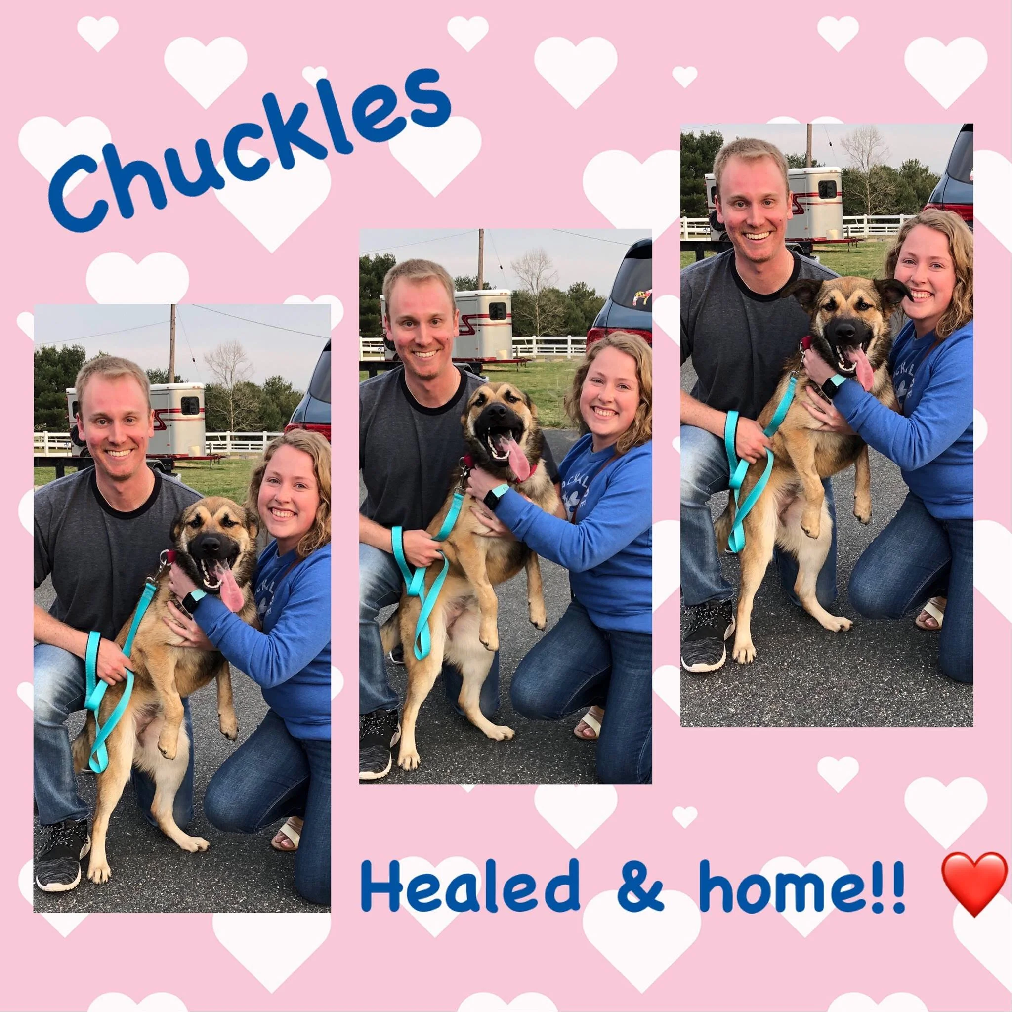 Chuckles is finally healed and in his furever home!!!