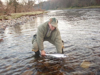 Colin McFadyen, tay ghillie, scottish salmon fishing, river tay, fishing, dunkeld, perthshire, corporate days, holiday lets scotland, holiday homes perthshire.jpg