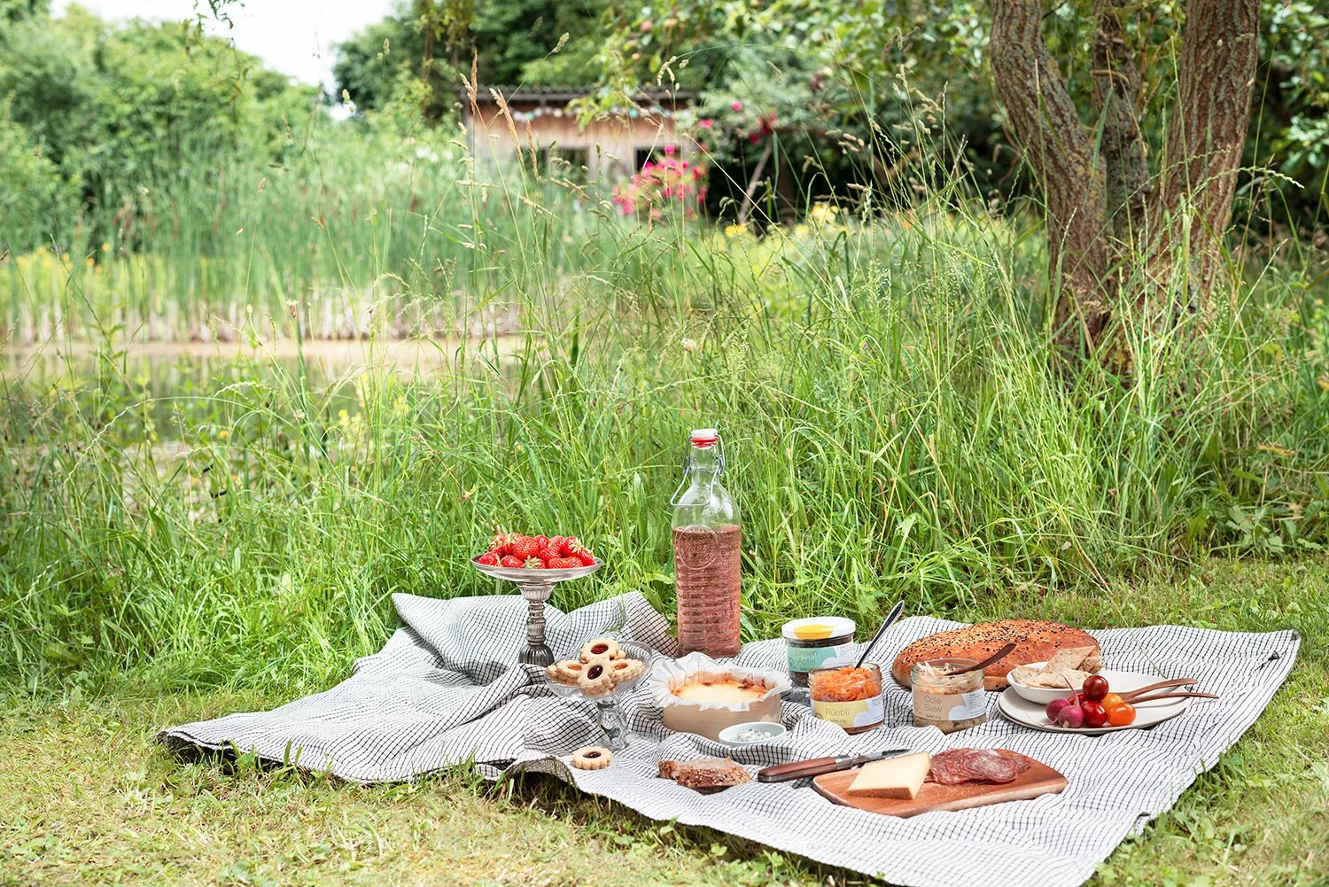 BB_Picknick_043_web2.jpg