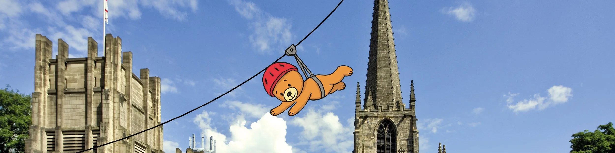 Teddy Zip Line