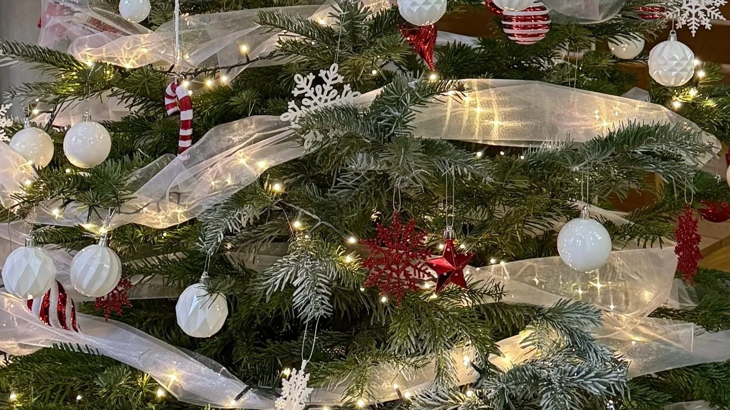 Christmas Tree Festival Winners Celebrated at Sheffield Cathedral
