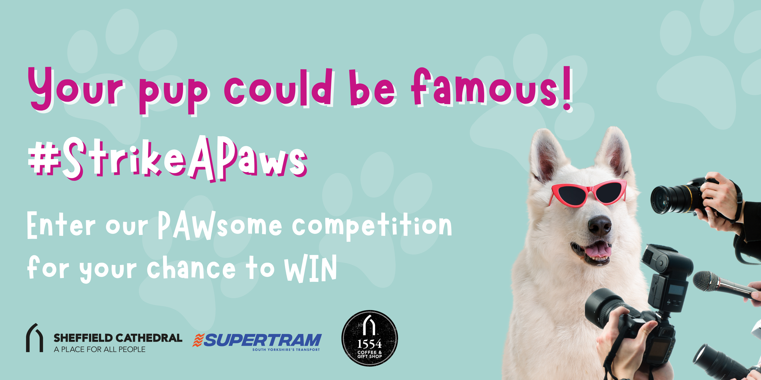   Strike A Paws    Enter Competition  
