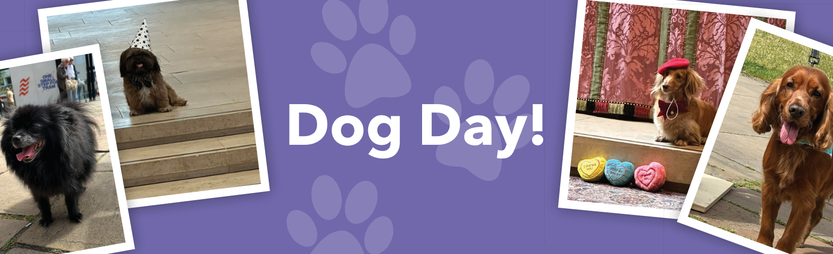 Celebrate Dog Day 2026