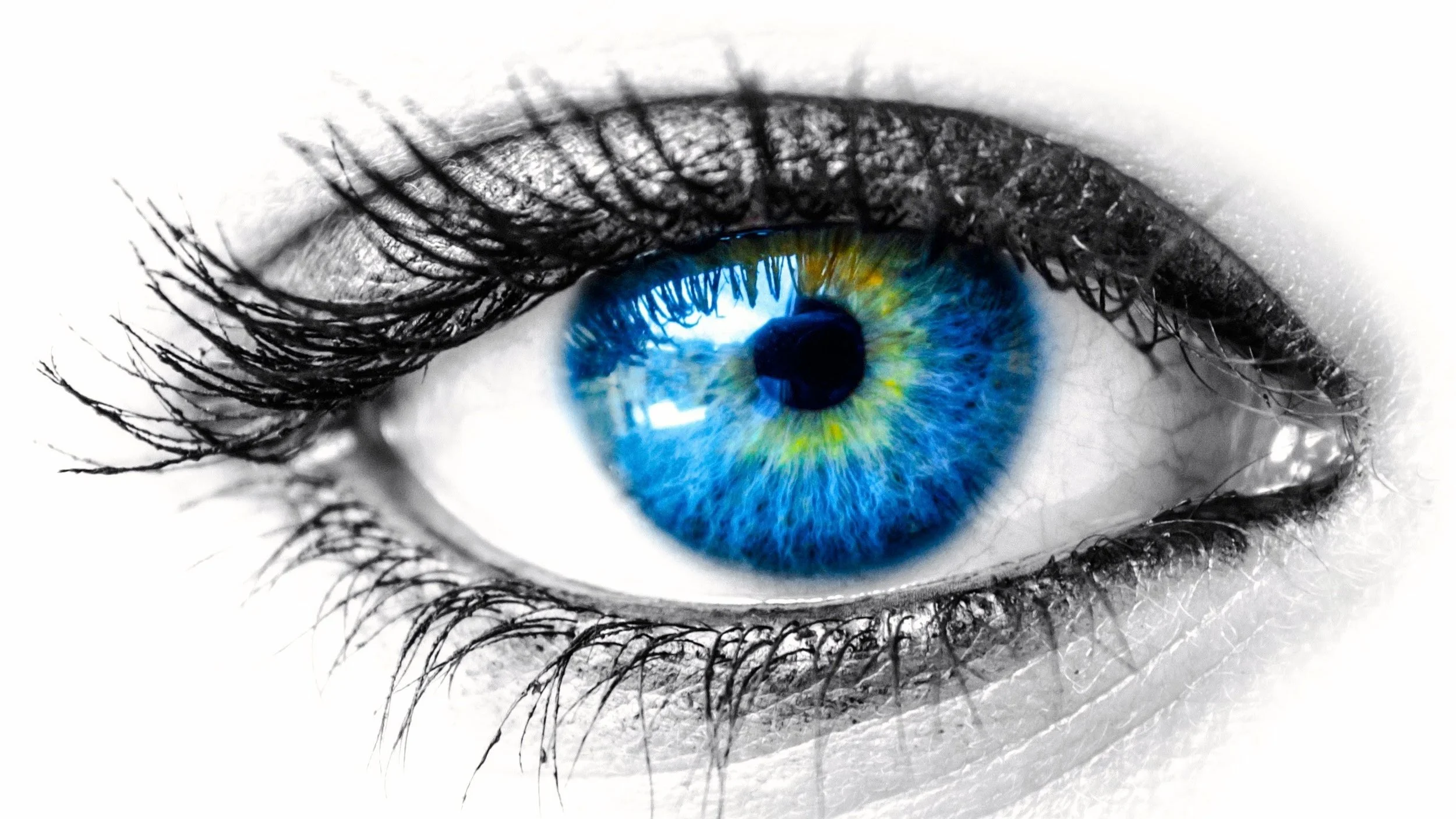 eye.jpg