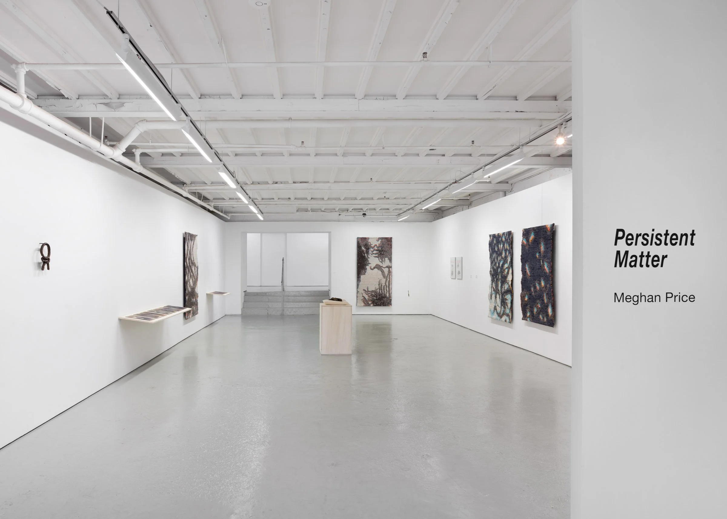 MeghanPrice_Persistent Matter 2026 installation view a.jpg