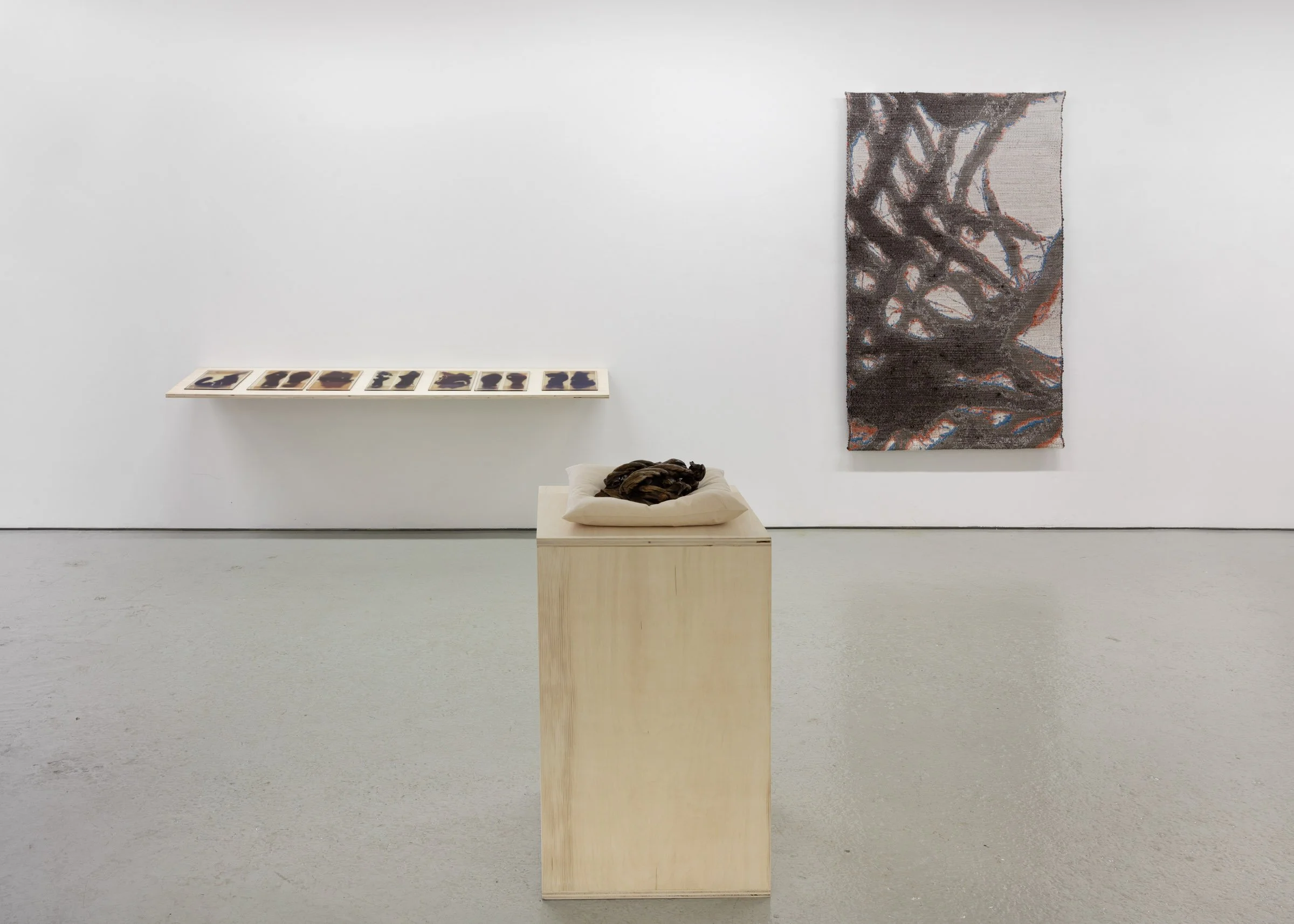 Meghan Price Persistent Matter 2026 installation view b.jpg
