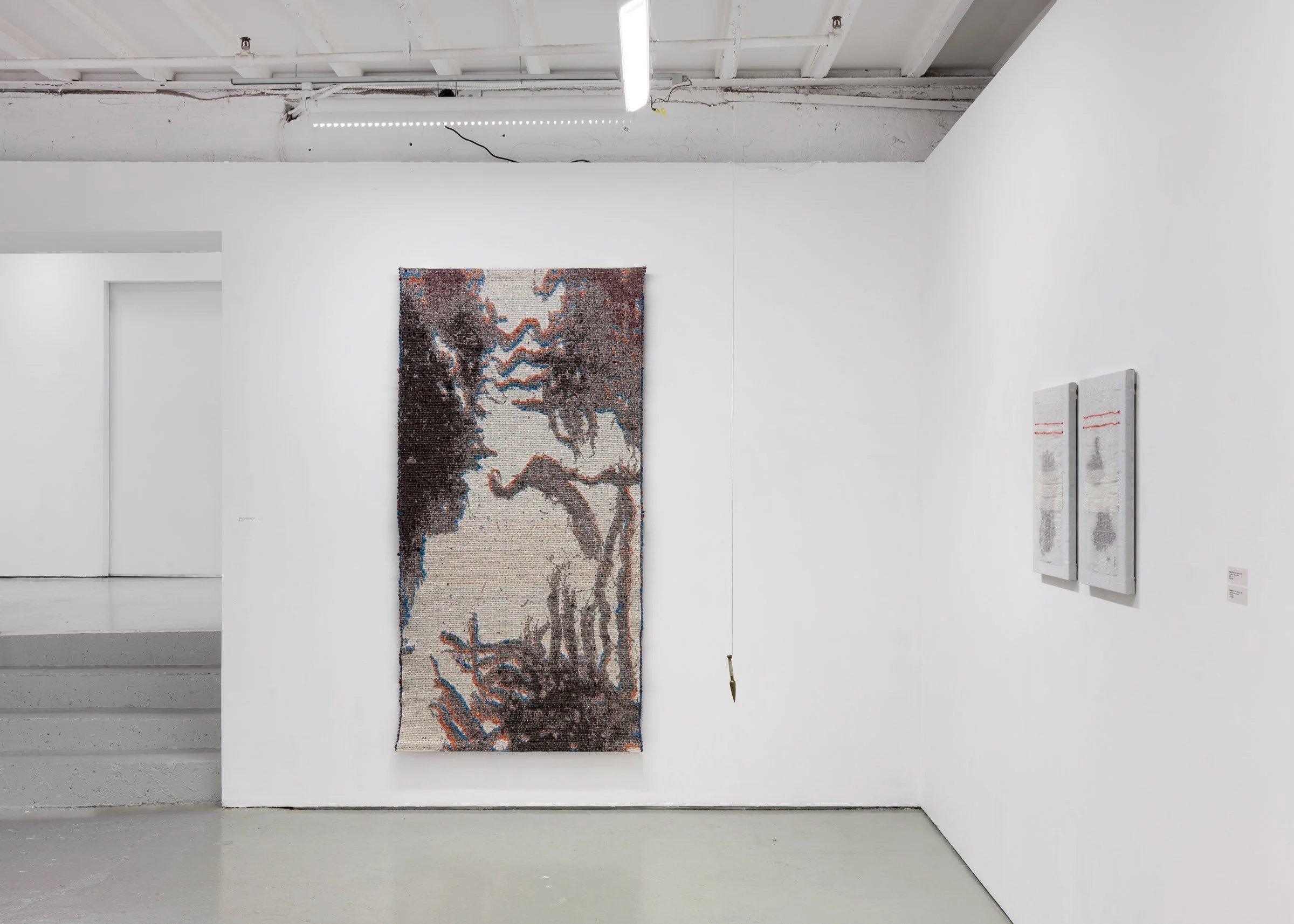 Meghan Price Persistent Matter installation view c.jpg