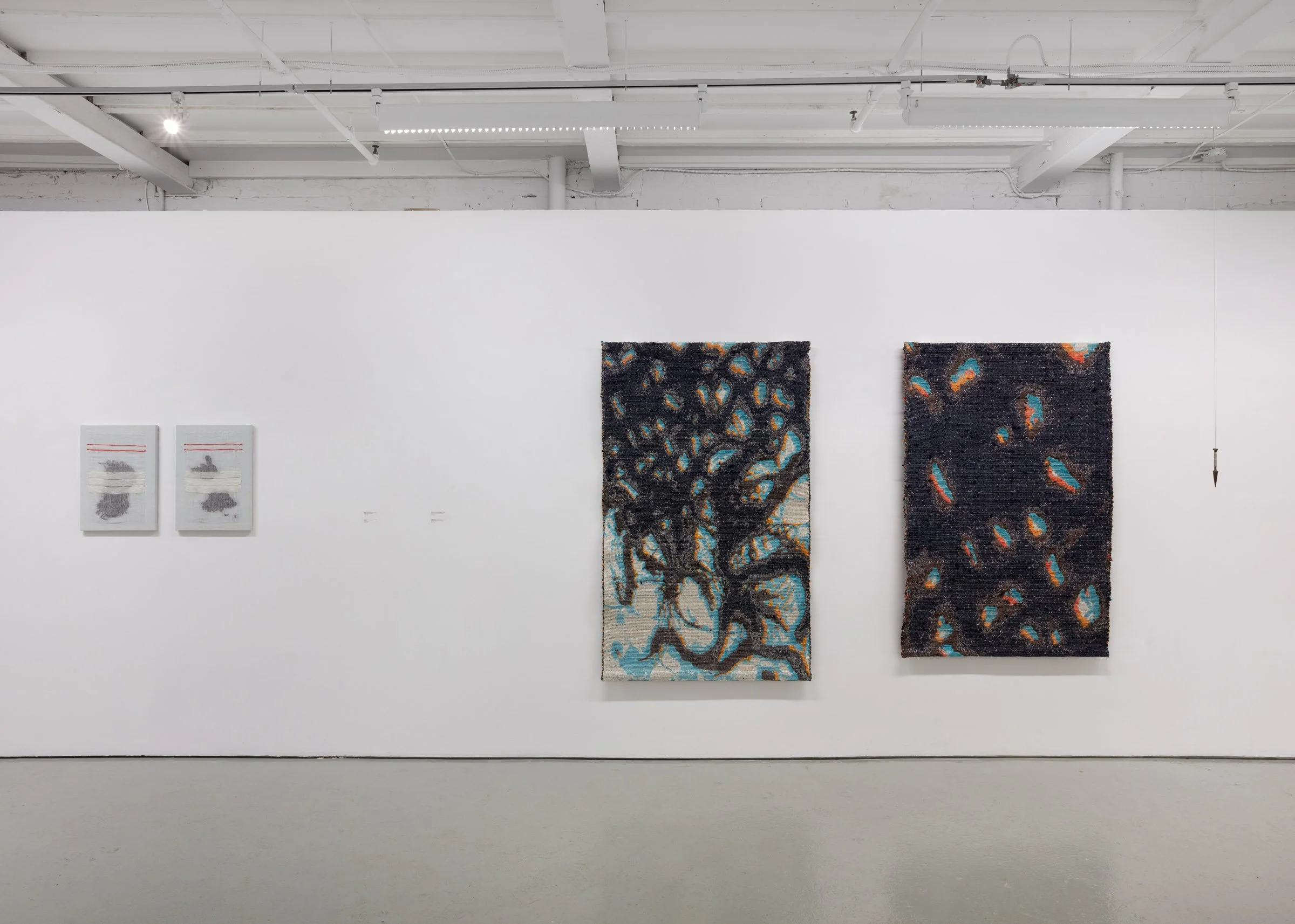 Meghan Price Persistent Matter 2026 installation view d.jpg