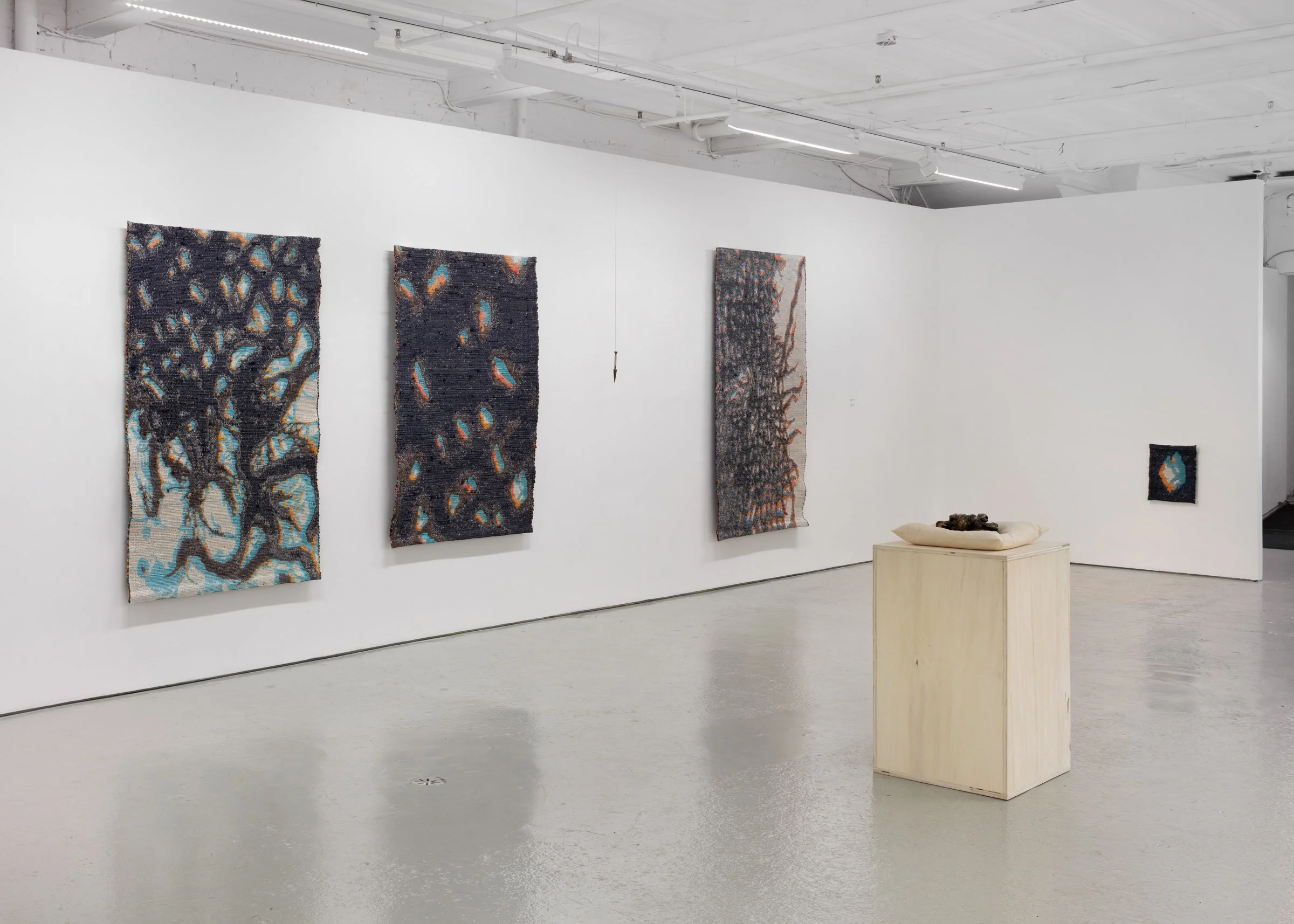 Meghan Price Persistent Matter 2026 installation view e.jpg