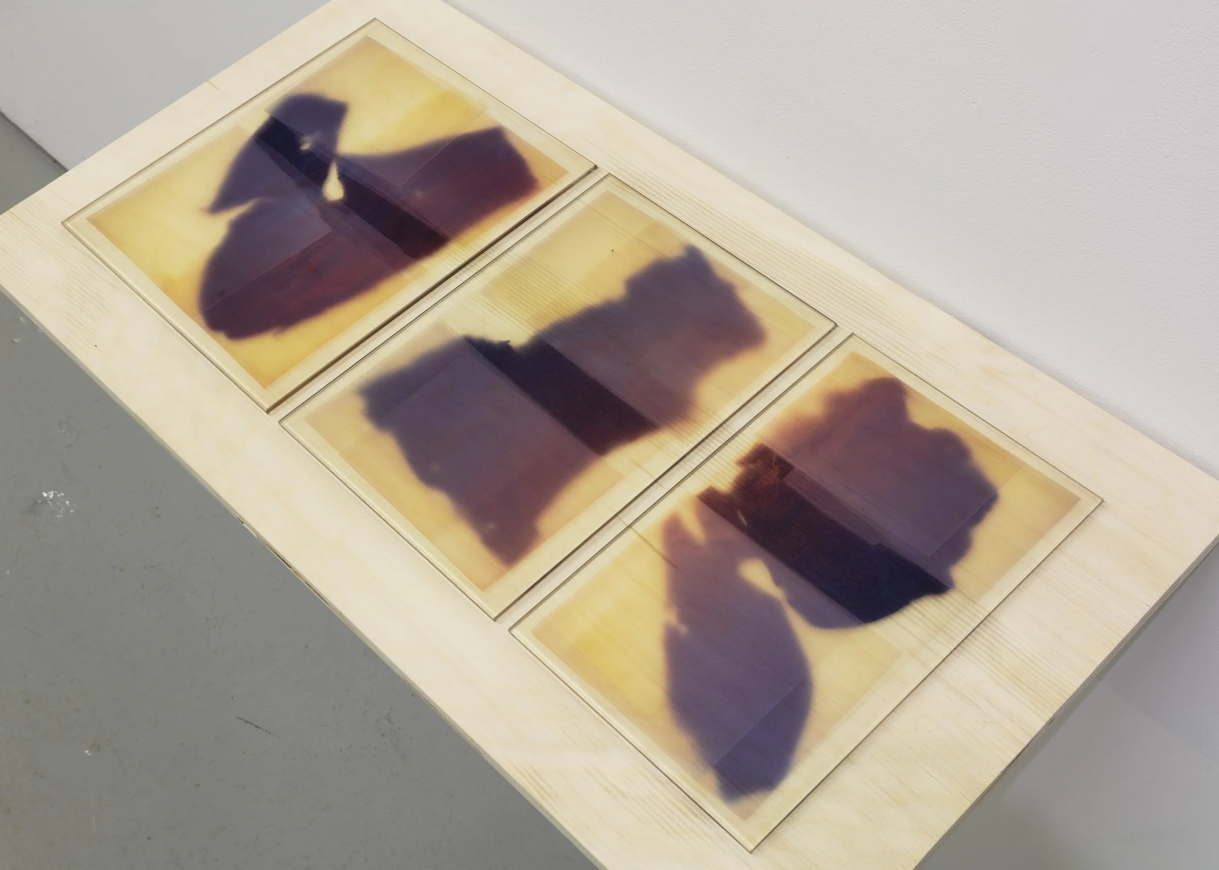 Meghan Price Threshold (triptych) 2026.jpg