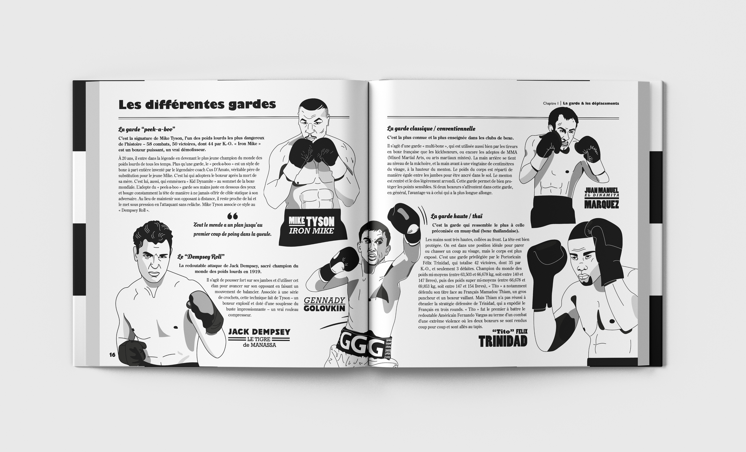 Boxer_simu_gardes.png