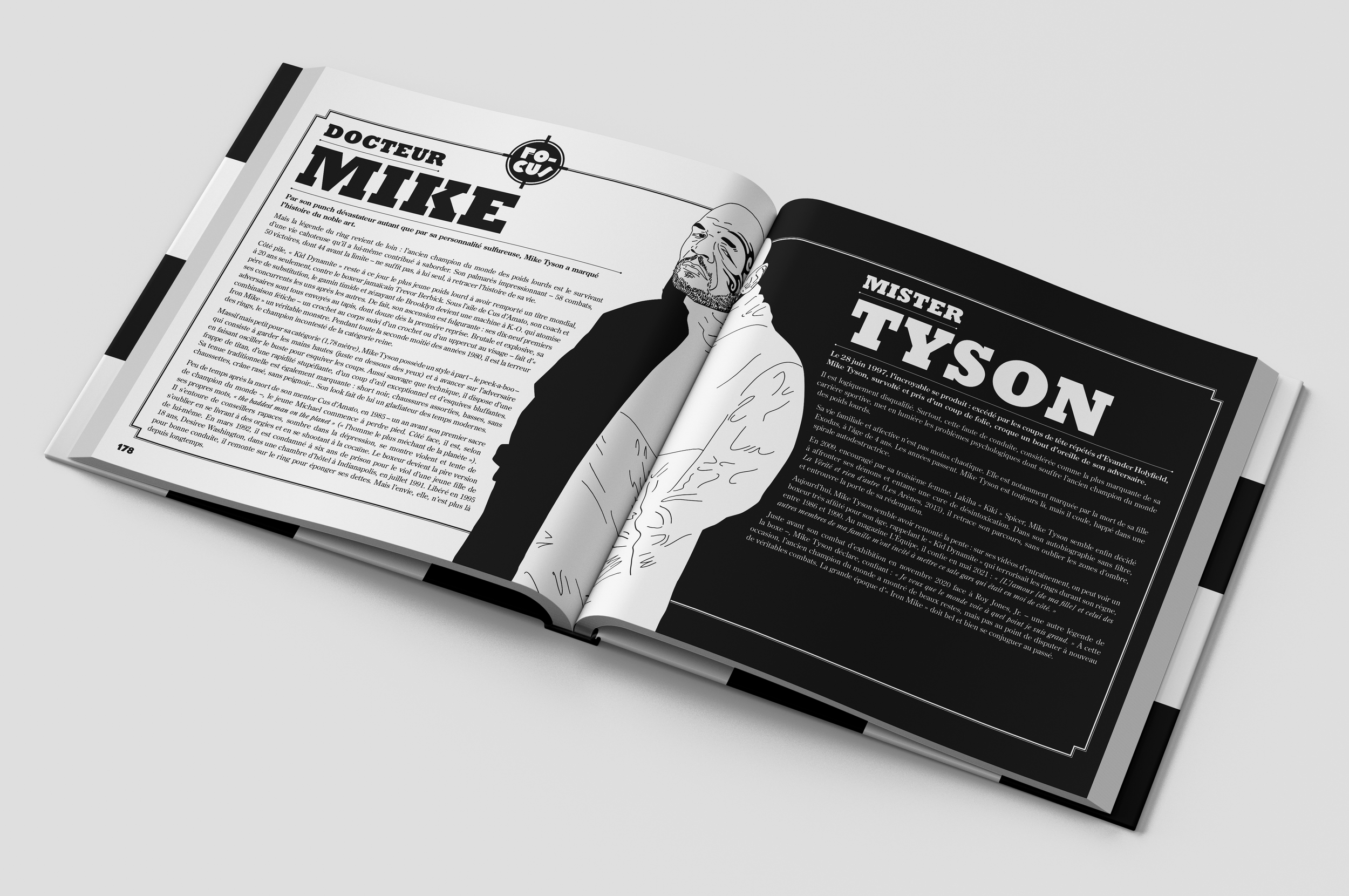 Boxer_simu_tyson.png