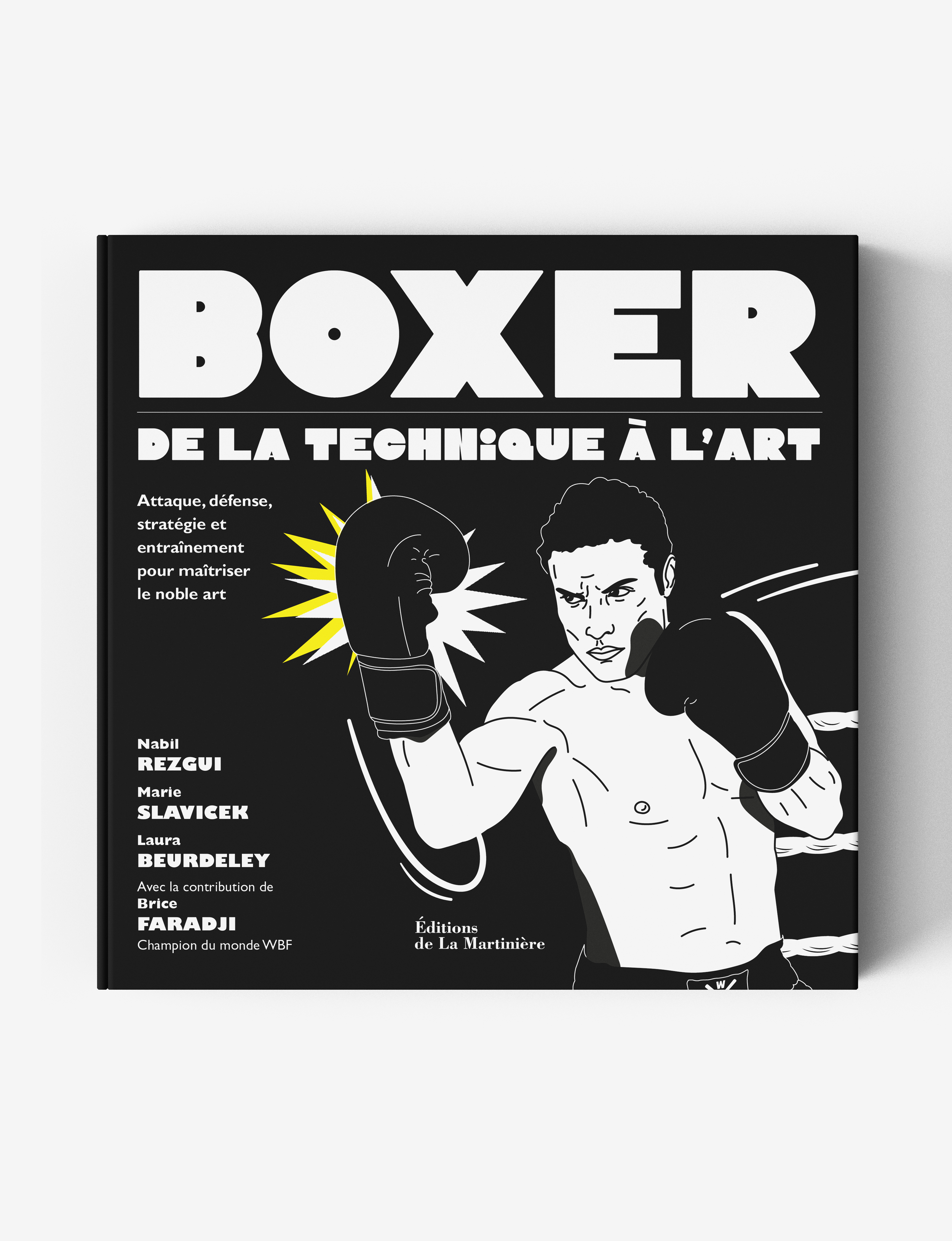 Boxer_simu_cover.png