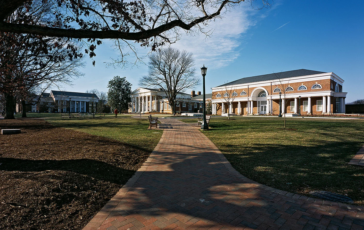 UVA_004.jpg