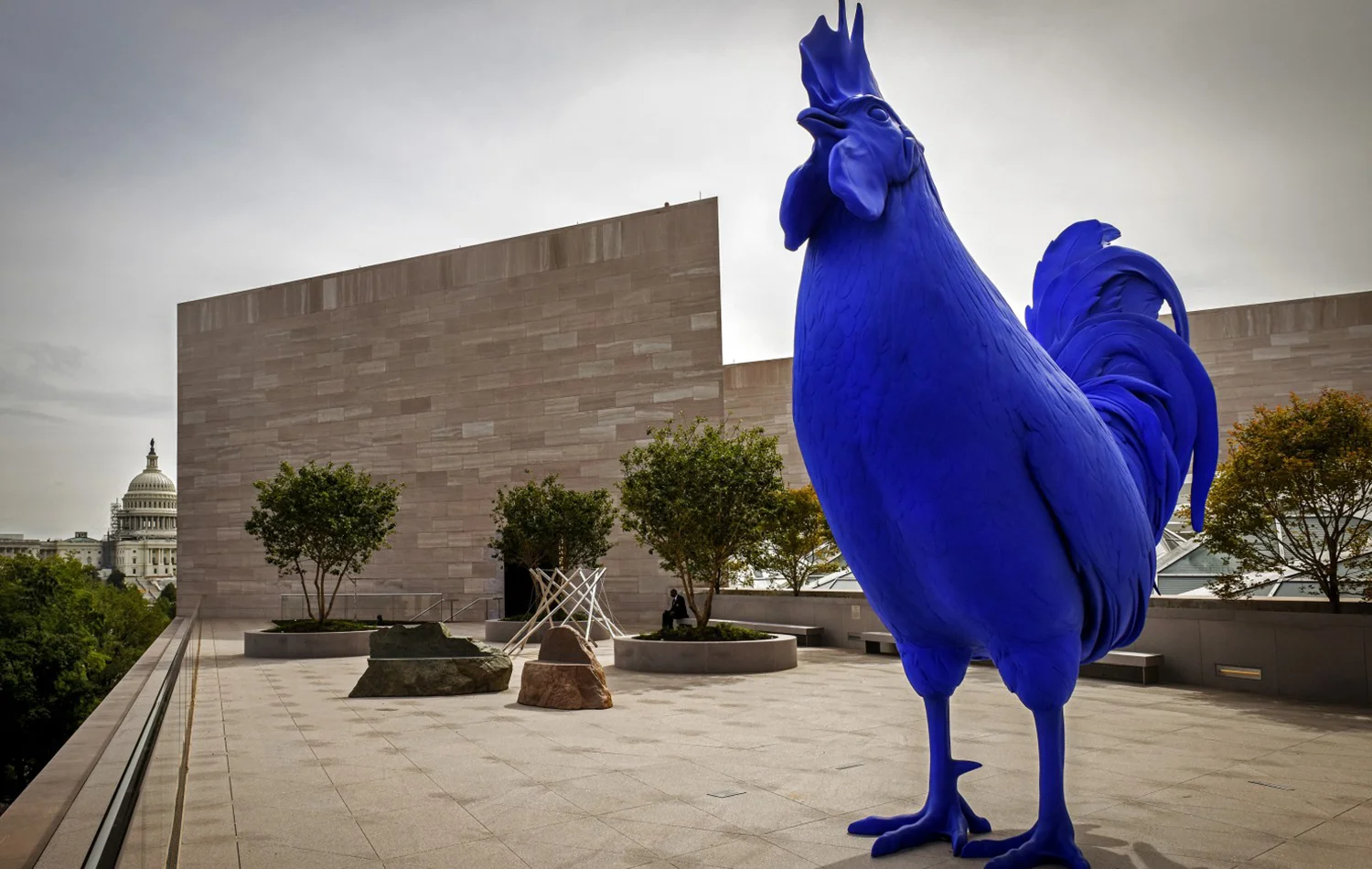 Katharina Fritsch's "Hahn/Cock," a 15-foot electric blue rooster, looks out over Constitution Avenue from the new roof terrace at the National Gallery’s renovated East Building. (Bill O'Leary/The Washington Post)