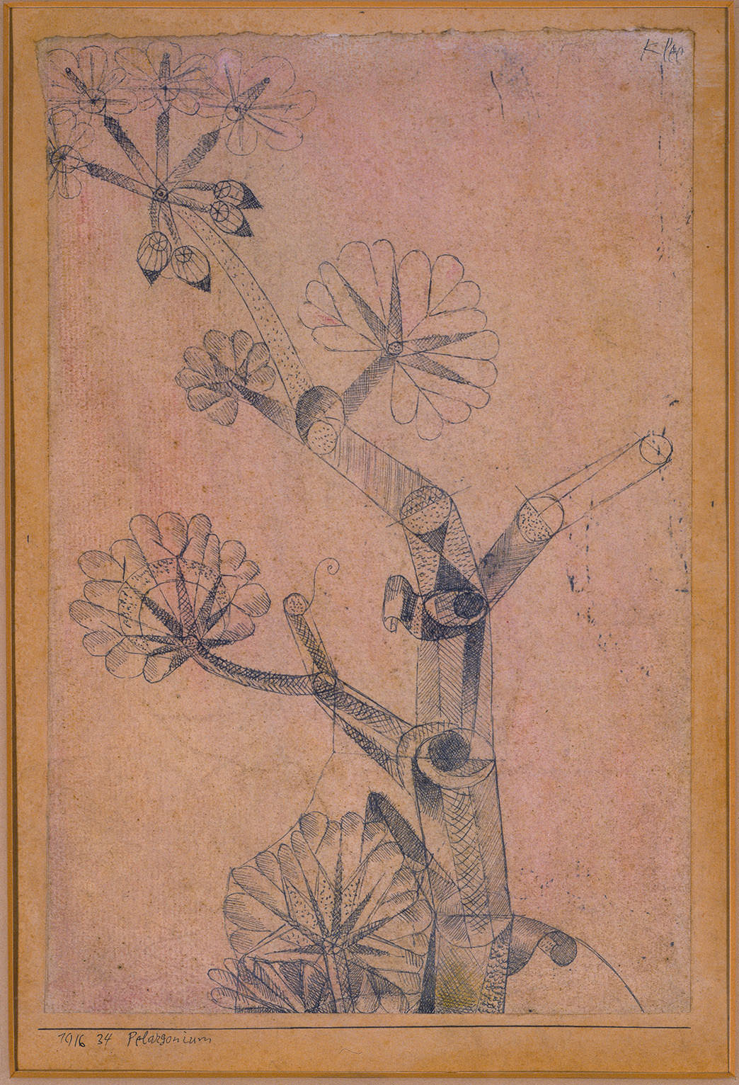 Abb. 46 Paul Klee, Pelargonium, 1916, 34 , Feder auf Papier auf Karton , 21,3 x 14 cm , Privatsammlung, Courtesy Galerie Pangée © Zentrum Paul Klee, Bern, Archiv