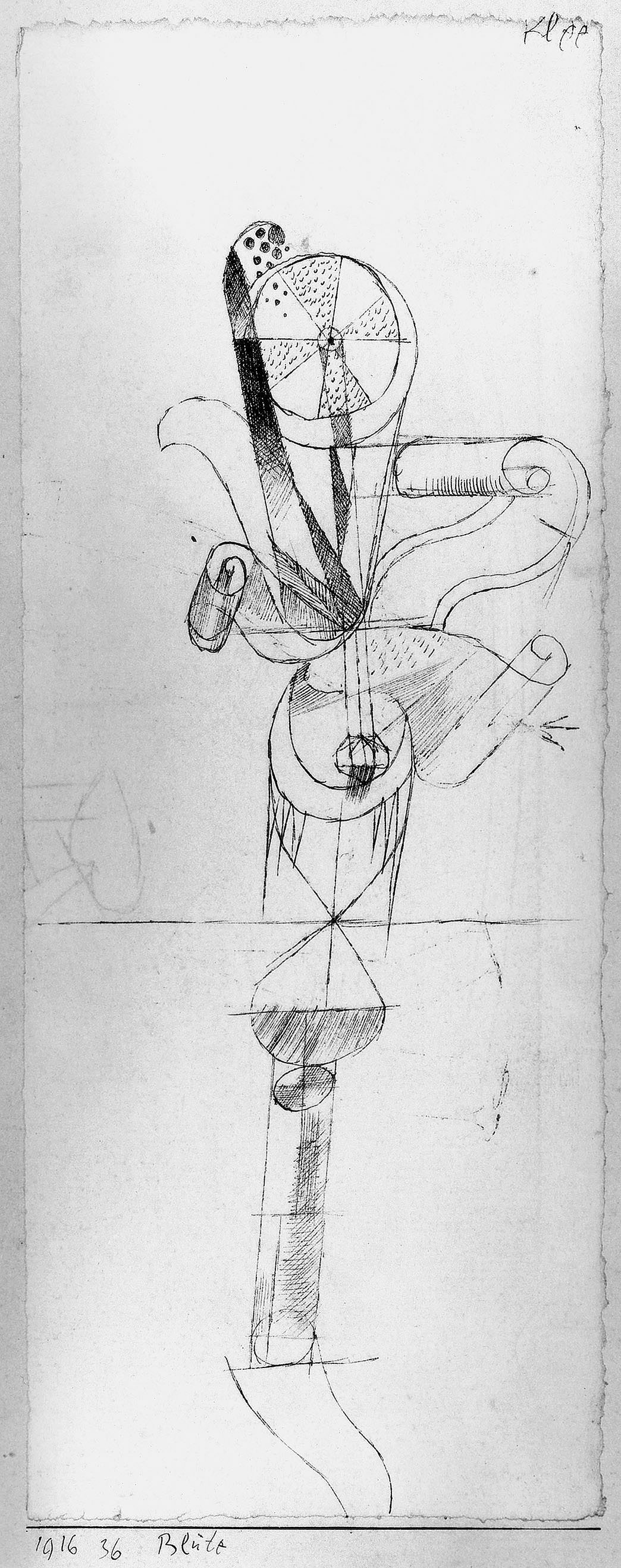 Abb. 48 Paul Klee, Blüte, 1916, 36 , Feder auf Papier auf Karton , 24 x 9,4 cm, Privatbesitz, Schweiz © Zentrum Paul Klee, Bern, Archiv