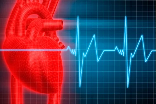 Cardiovascular Screening