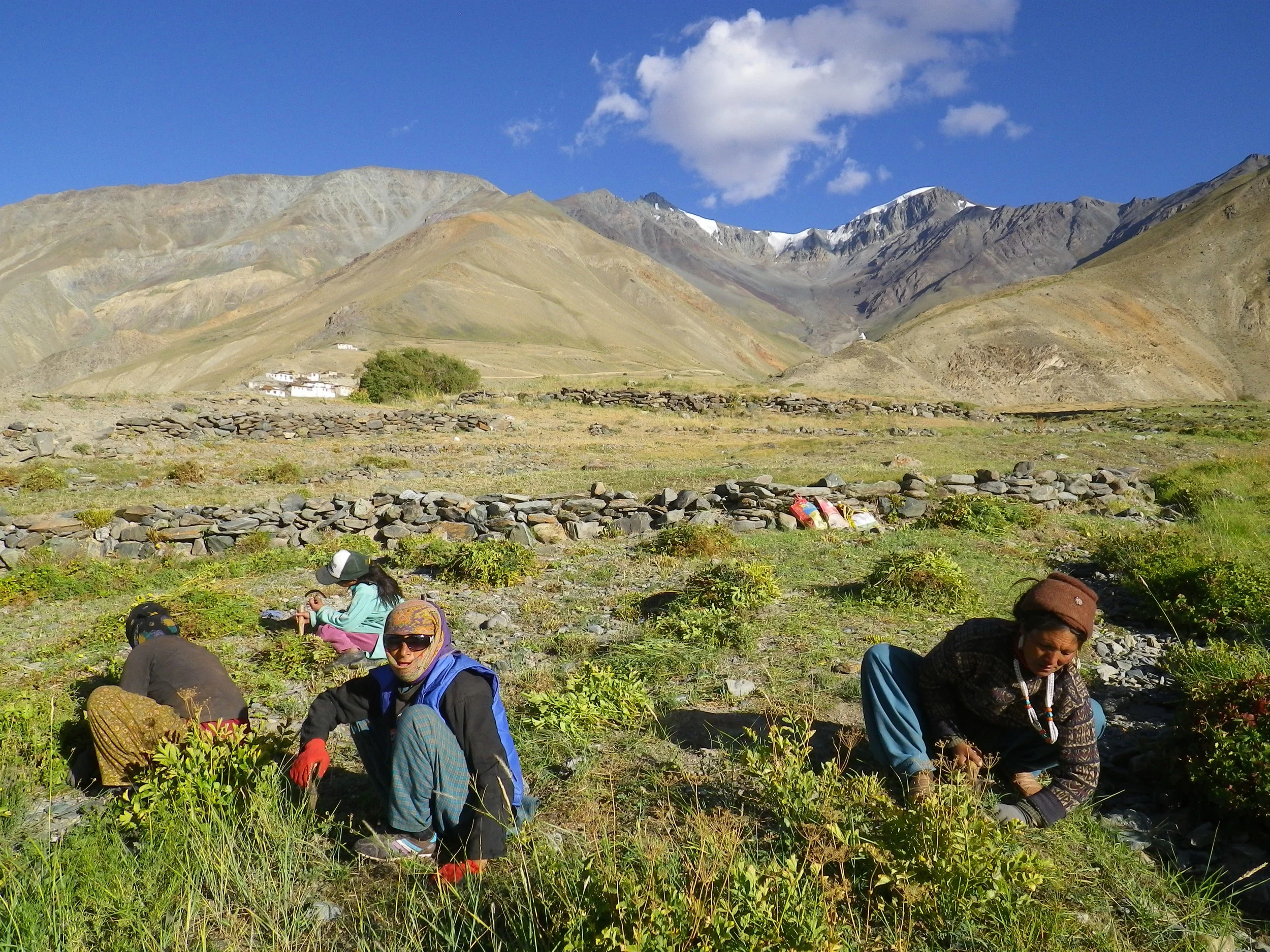 In Summer, Thinking of Winter