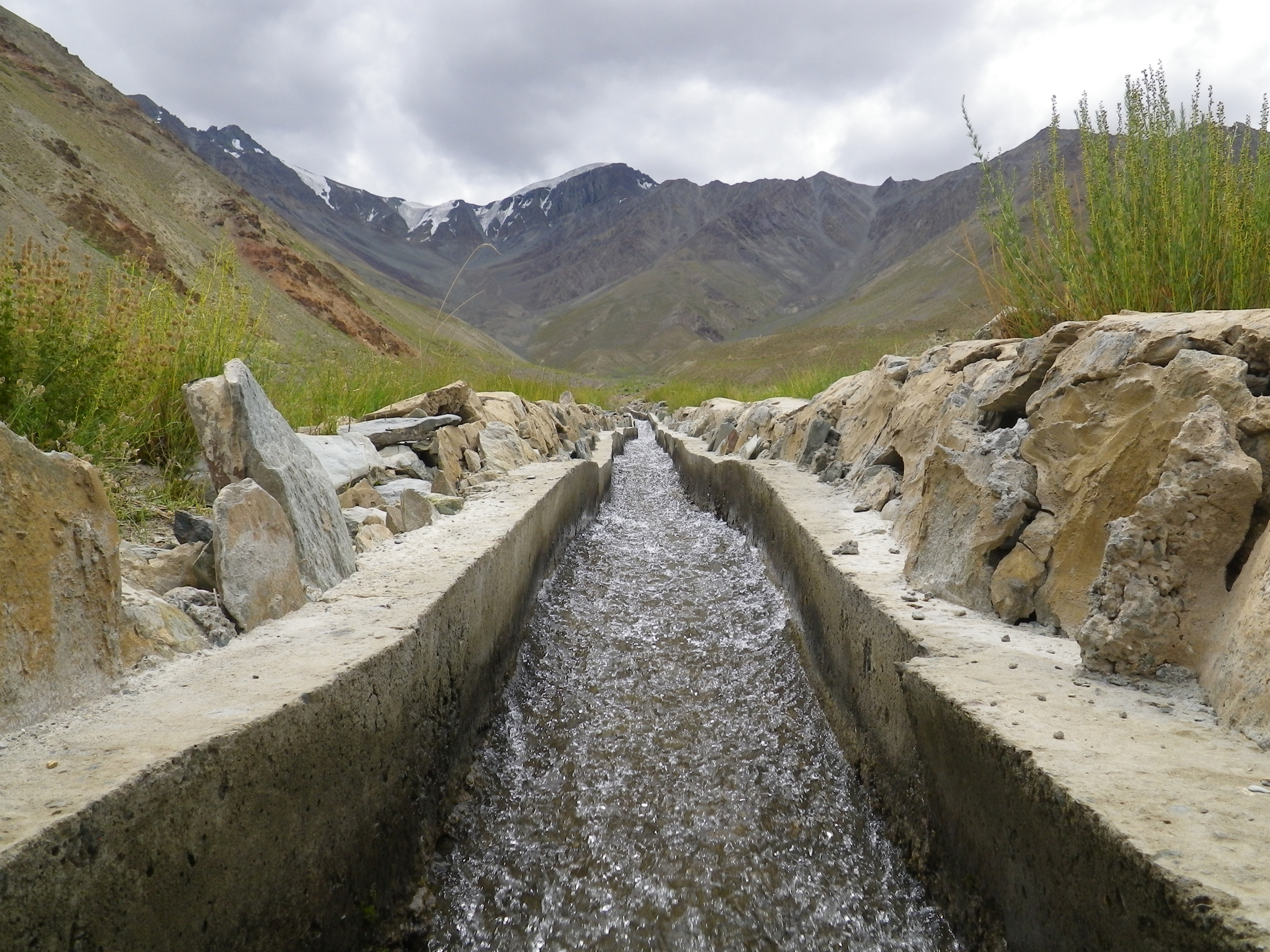 The Stream