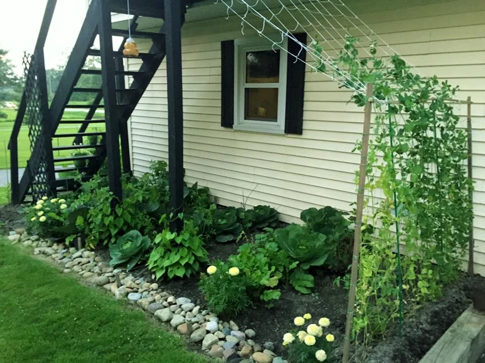 Garden2.jpg