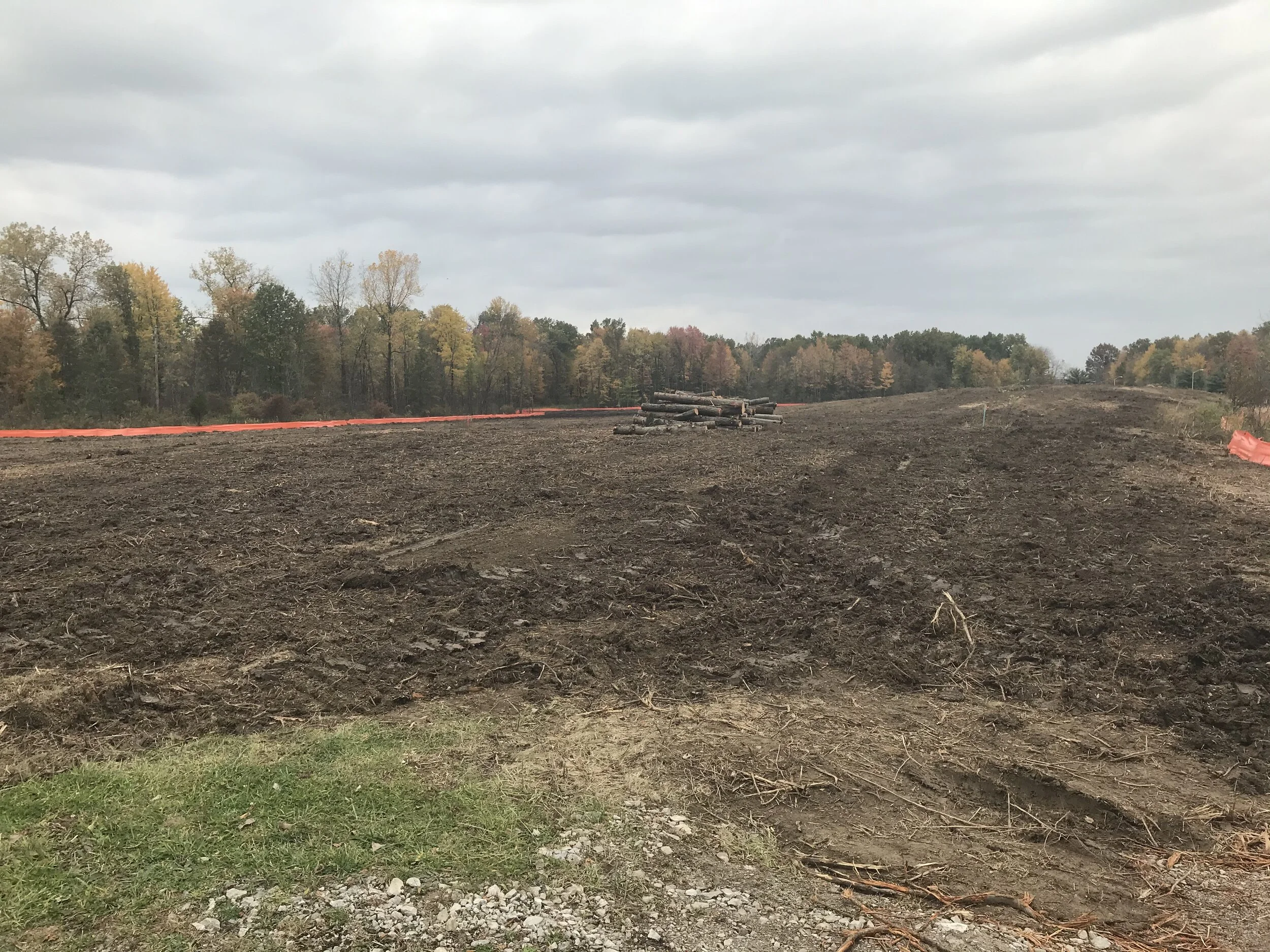 'Killarney Woods' Newest CASTO, Homeport Project — Homeport