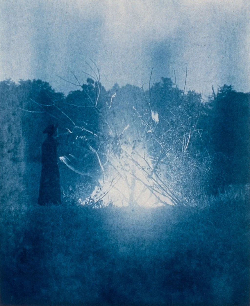 The Rite of the American Independence, 1907 , 10 x 8 inches, cyanotype, 1988
