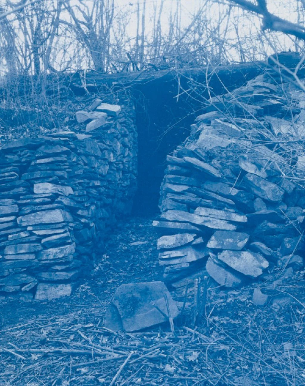 The Tomb of Lazarus, 1902 , 10 x 8 inches, cyanotype, 1989