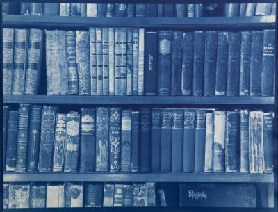 What transcripts of my weal and woe, 1917 , 17 7/8 x 23 5/8 inches, cyanotype, 2010