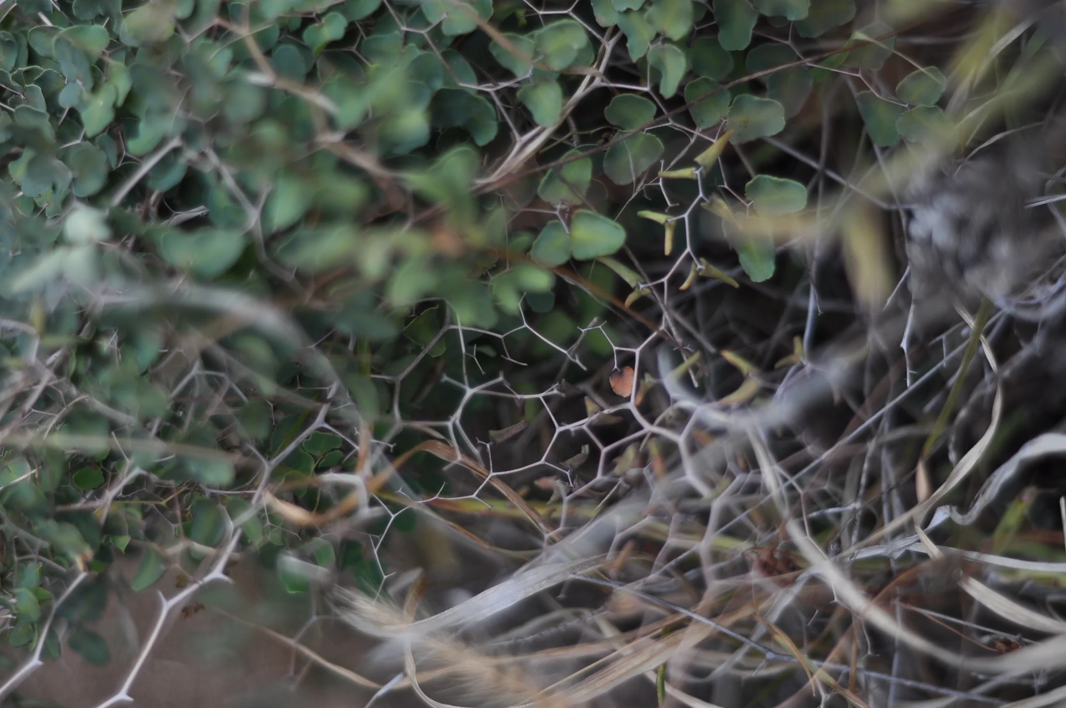 Zero to One Innovation