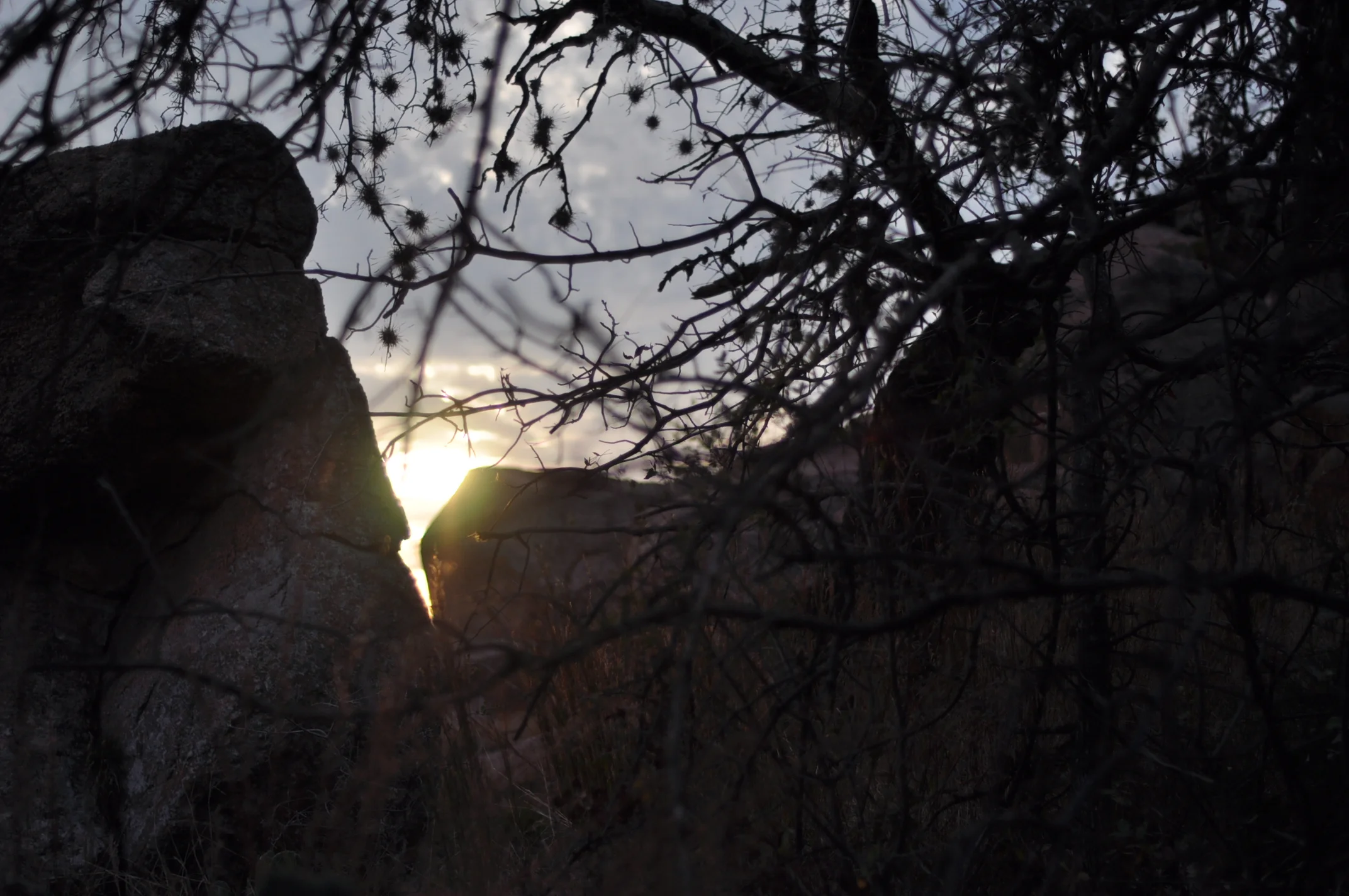 Breakfast Tacos, Robots and Friends