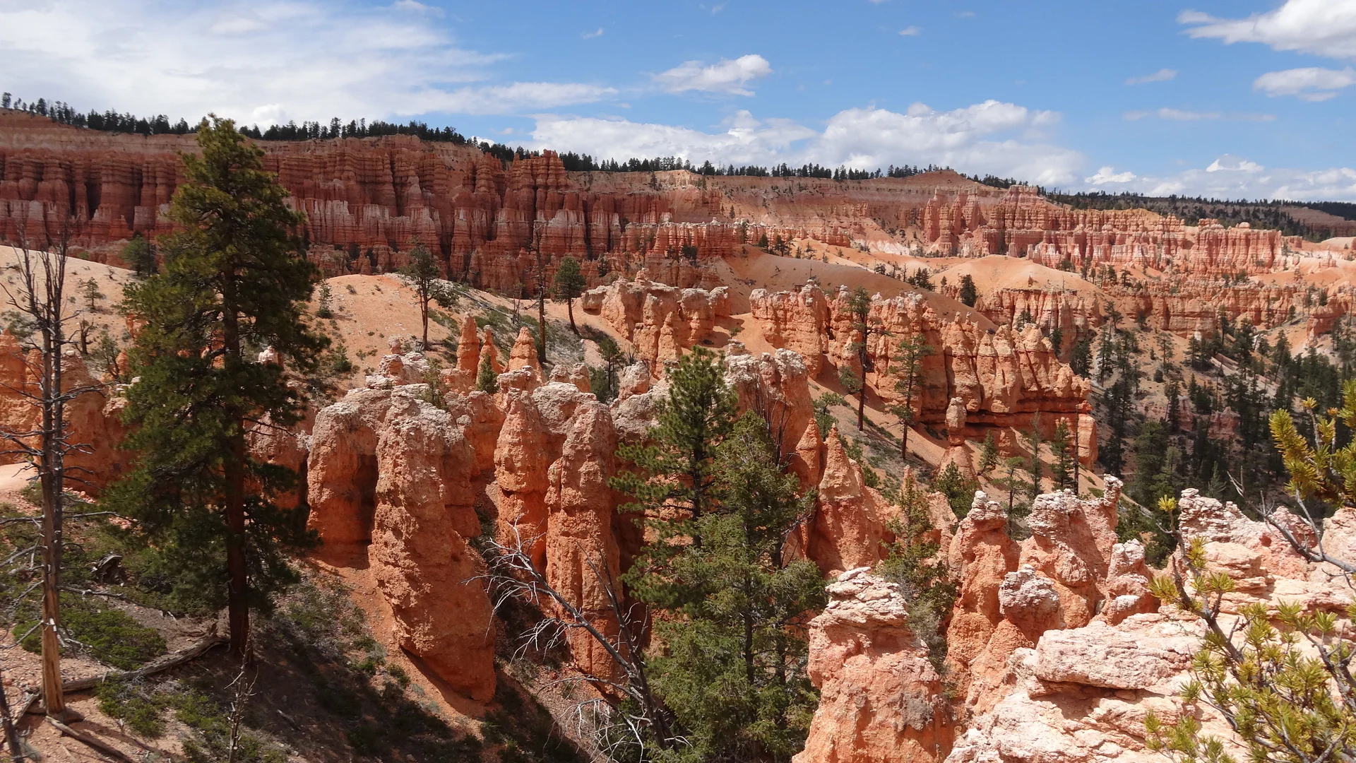 Making Leap Seconds Count