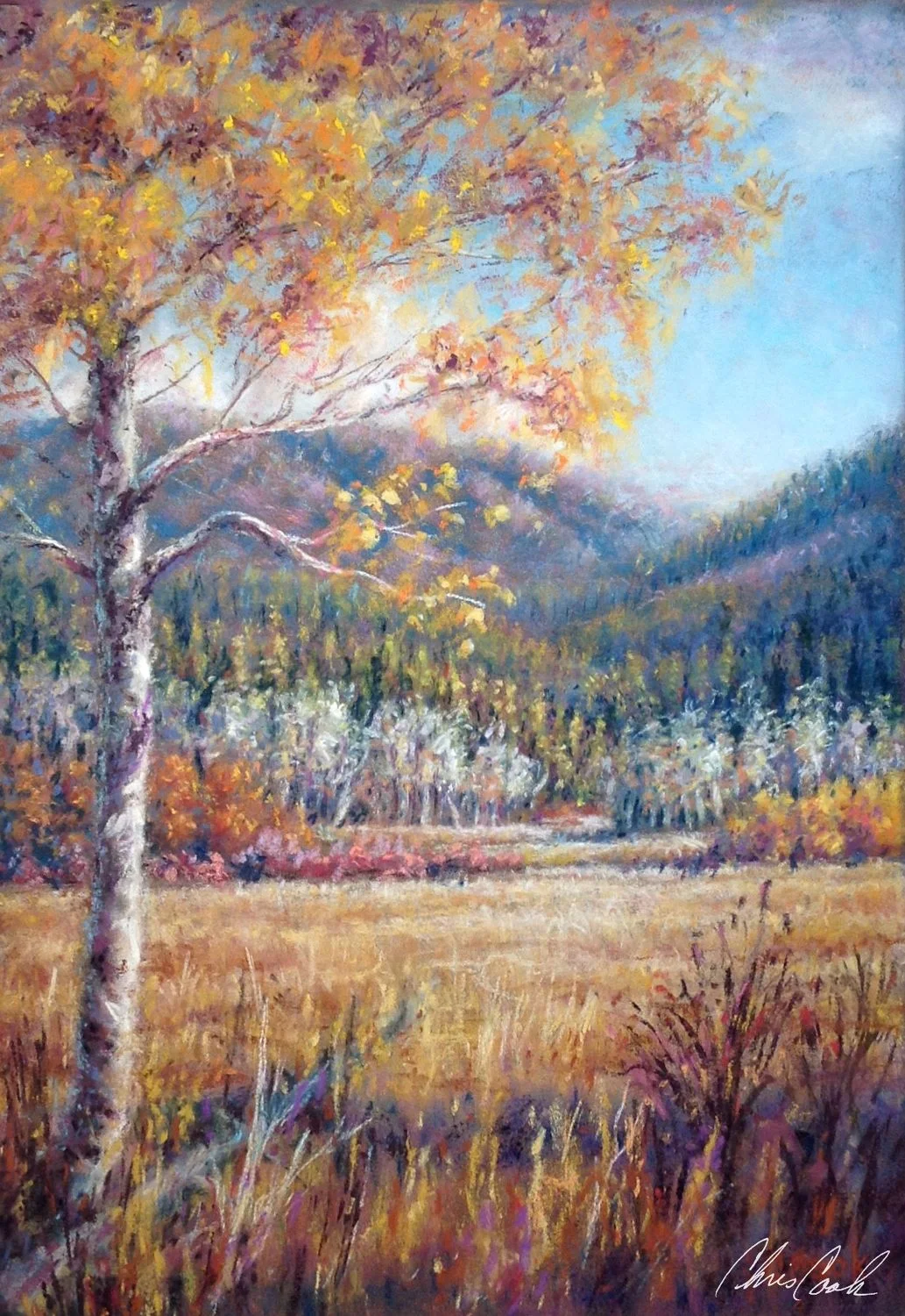 Teton Country Meadows