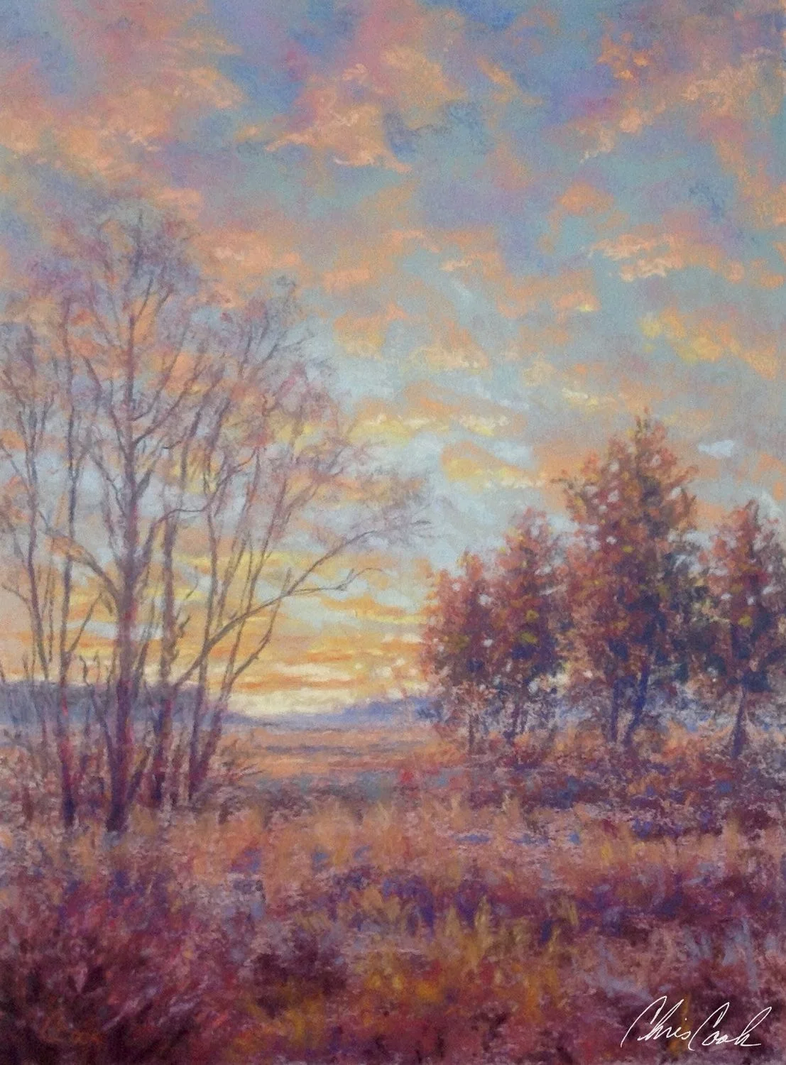 Quilted Sky