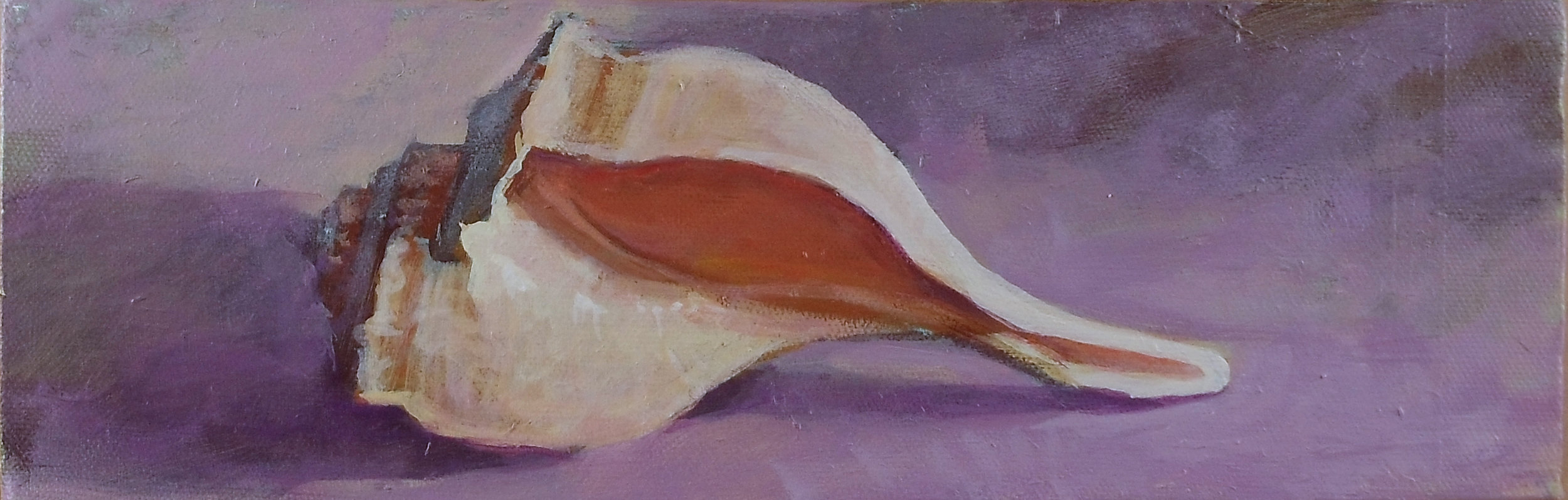 Shell in light - 2013