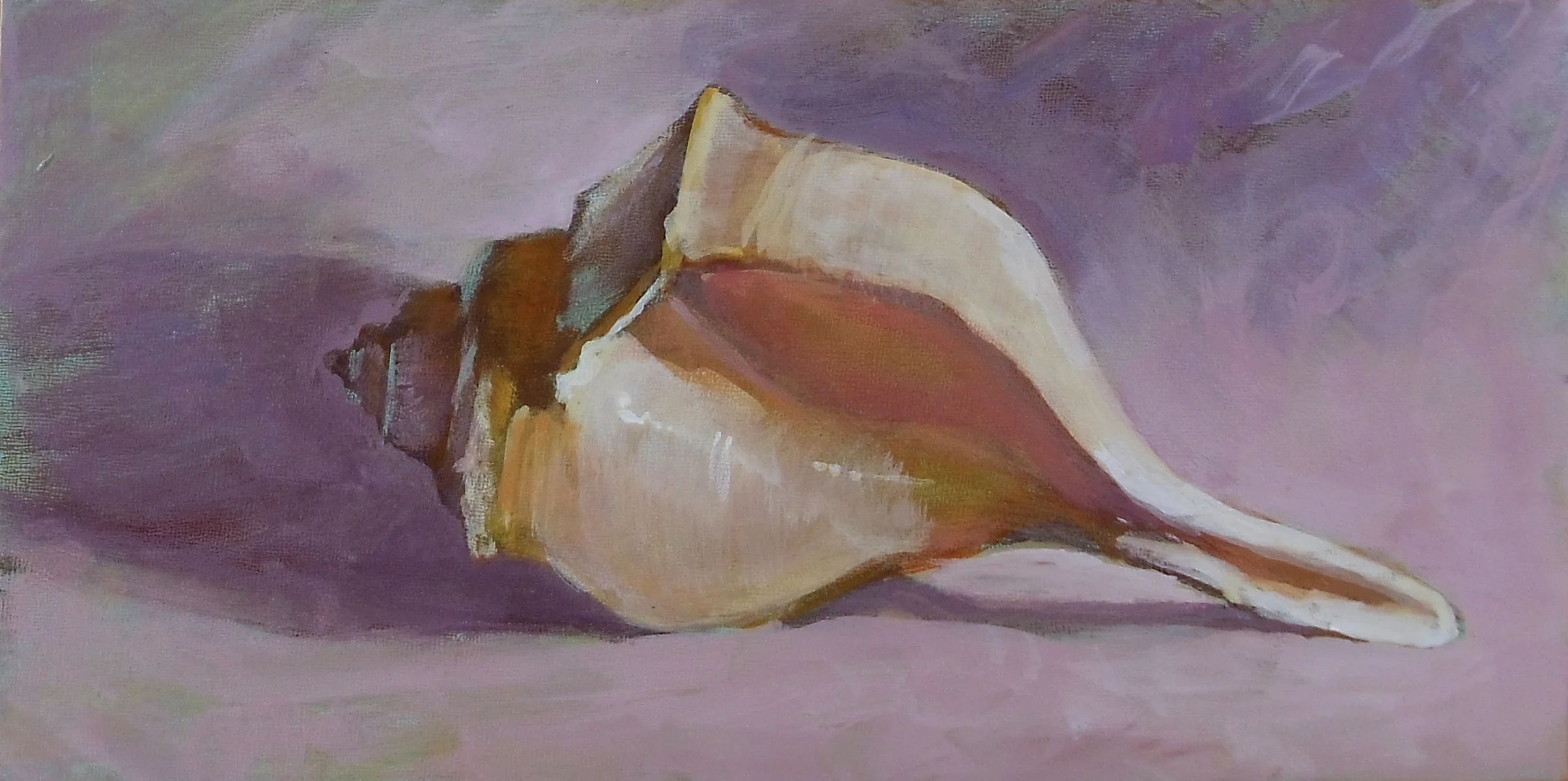 Shell in light 2 - 2013