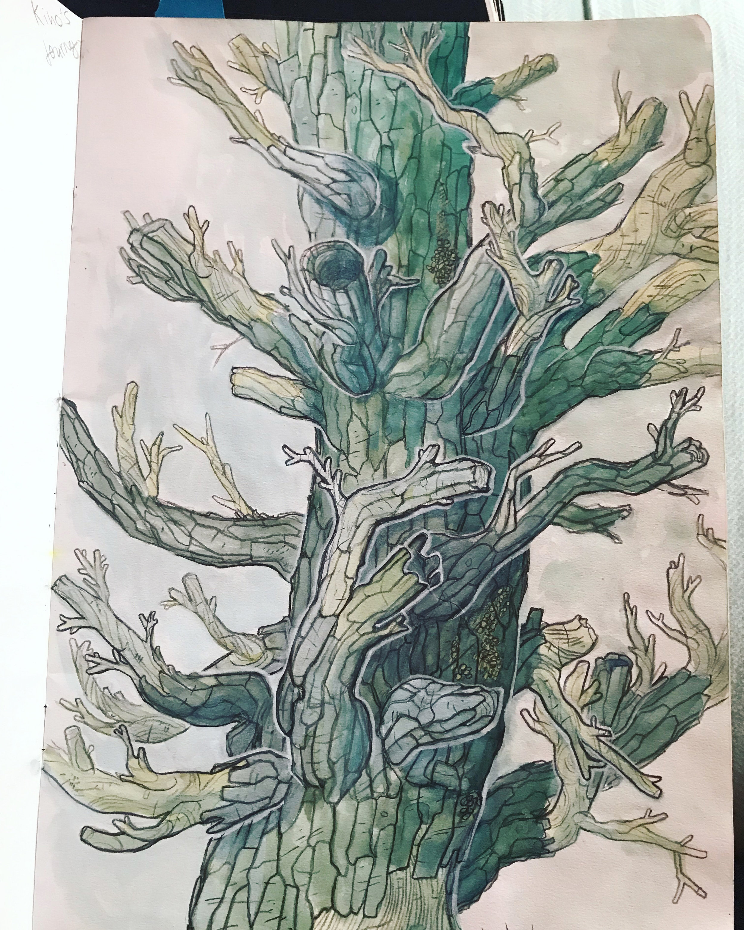 tree.jpg