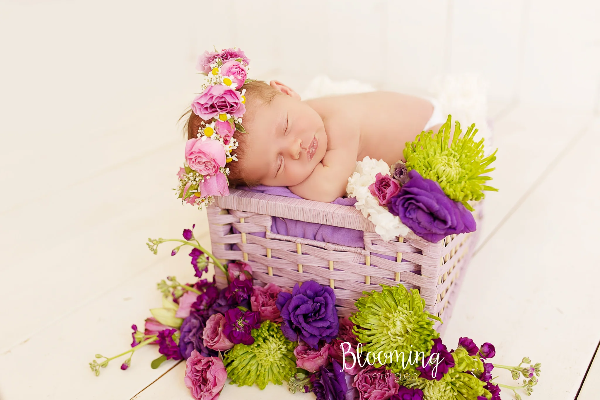 IMG_0588 copy.jpg