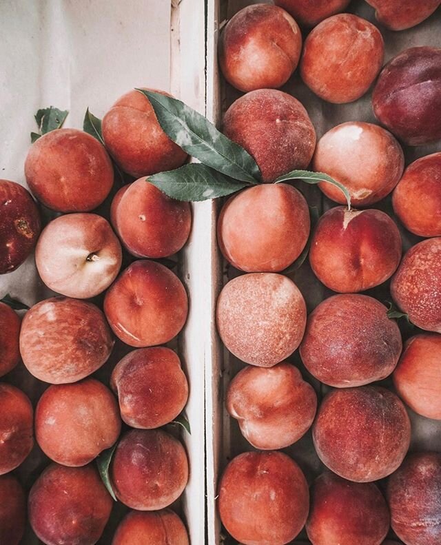 Just popping up on your feed to say we hope your day is peachy 🍑⁠
⁠
📷@taniajoyfjane⁠
⁠