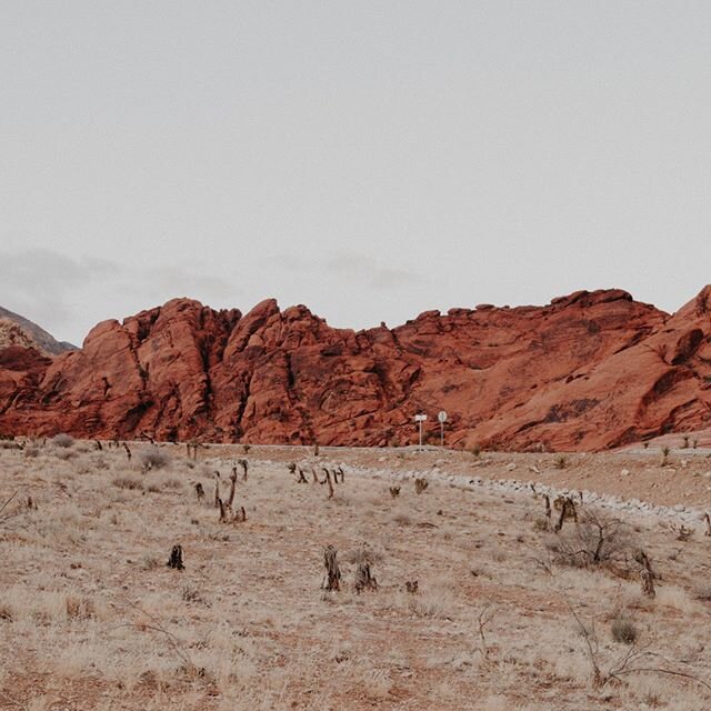 Even if we can&rsquo;t adventure right now, we can still dream of the desert🏜️