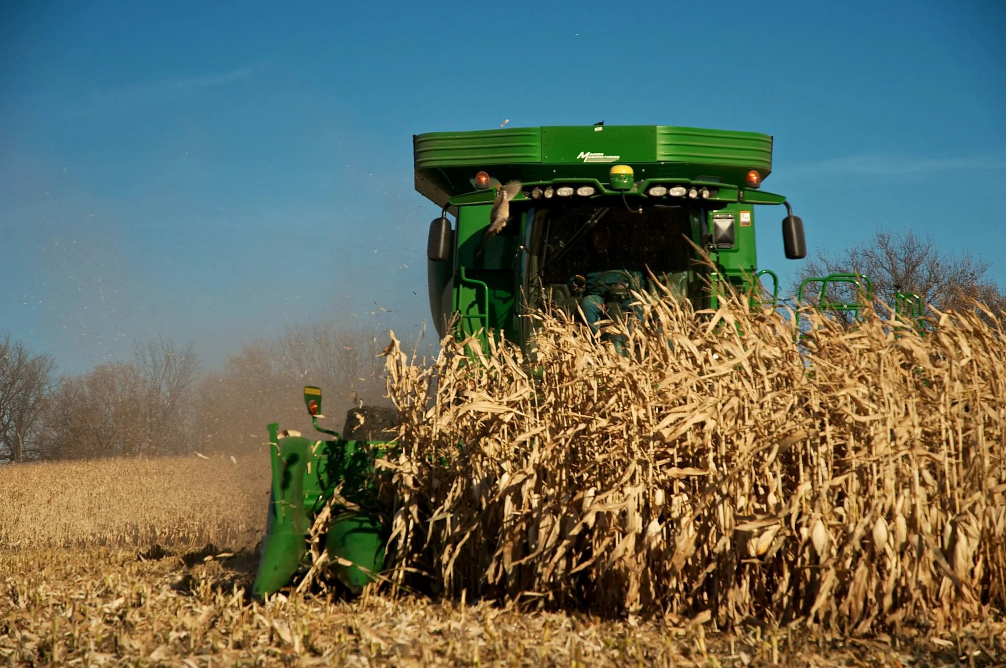 MY FATHER&#x27;S WORLD