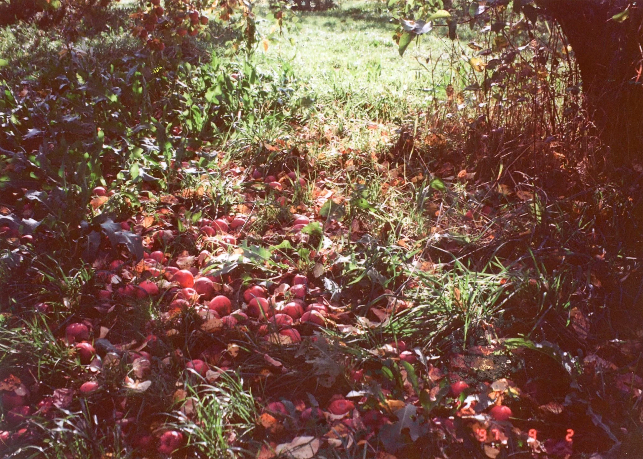 img065.jpg
