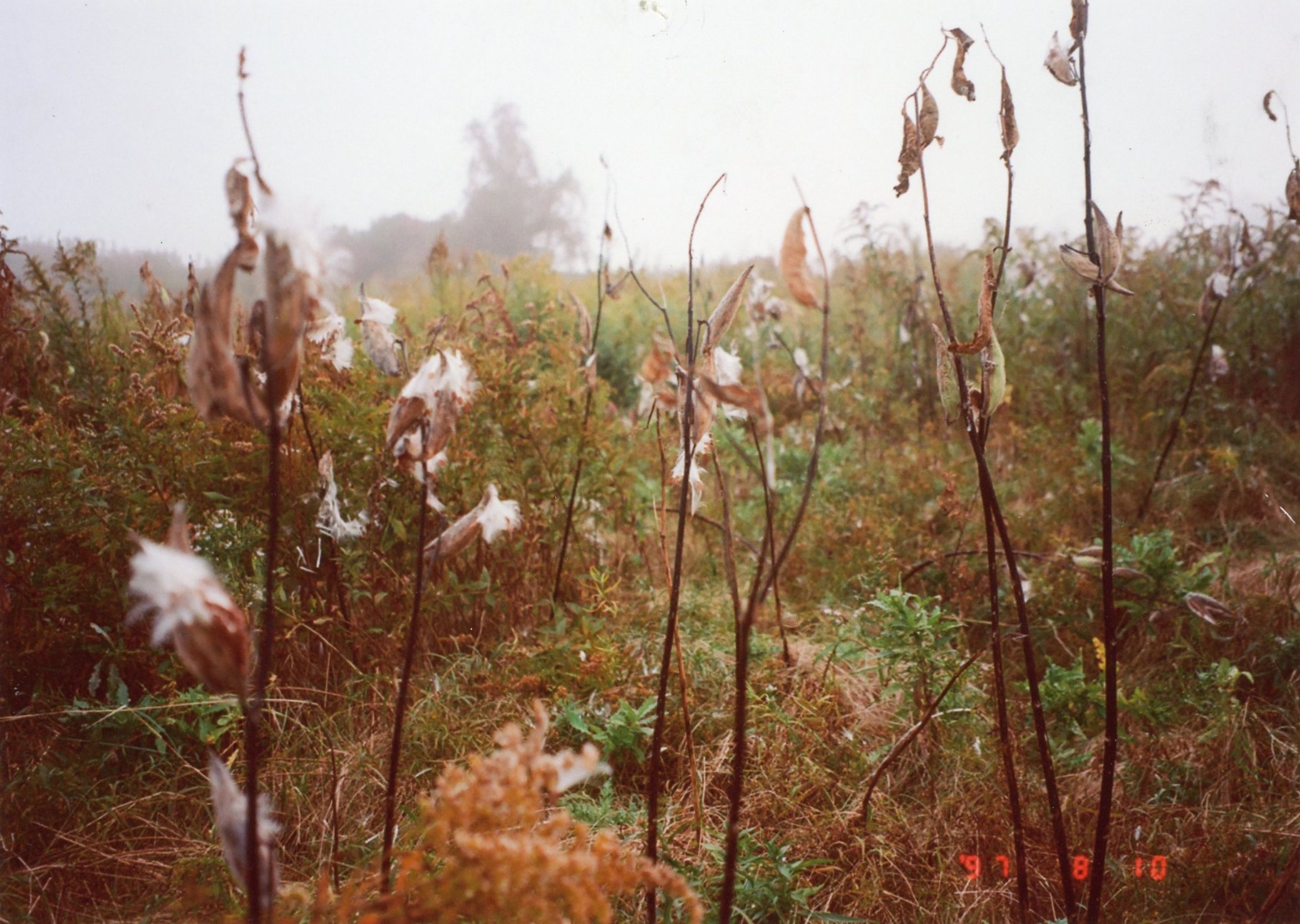 img067.jpg