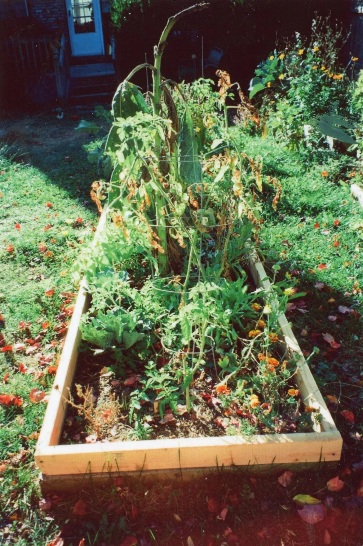 img068.jpg
